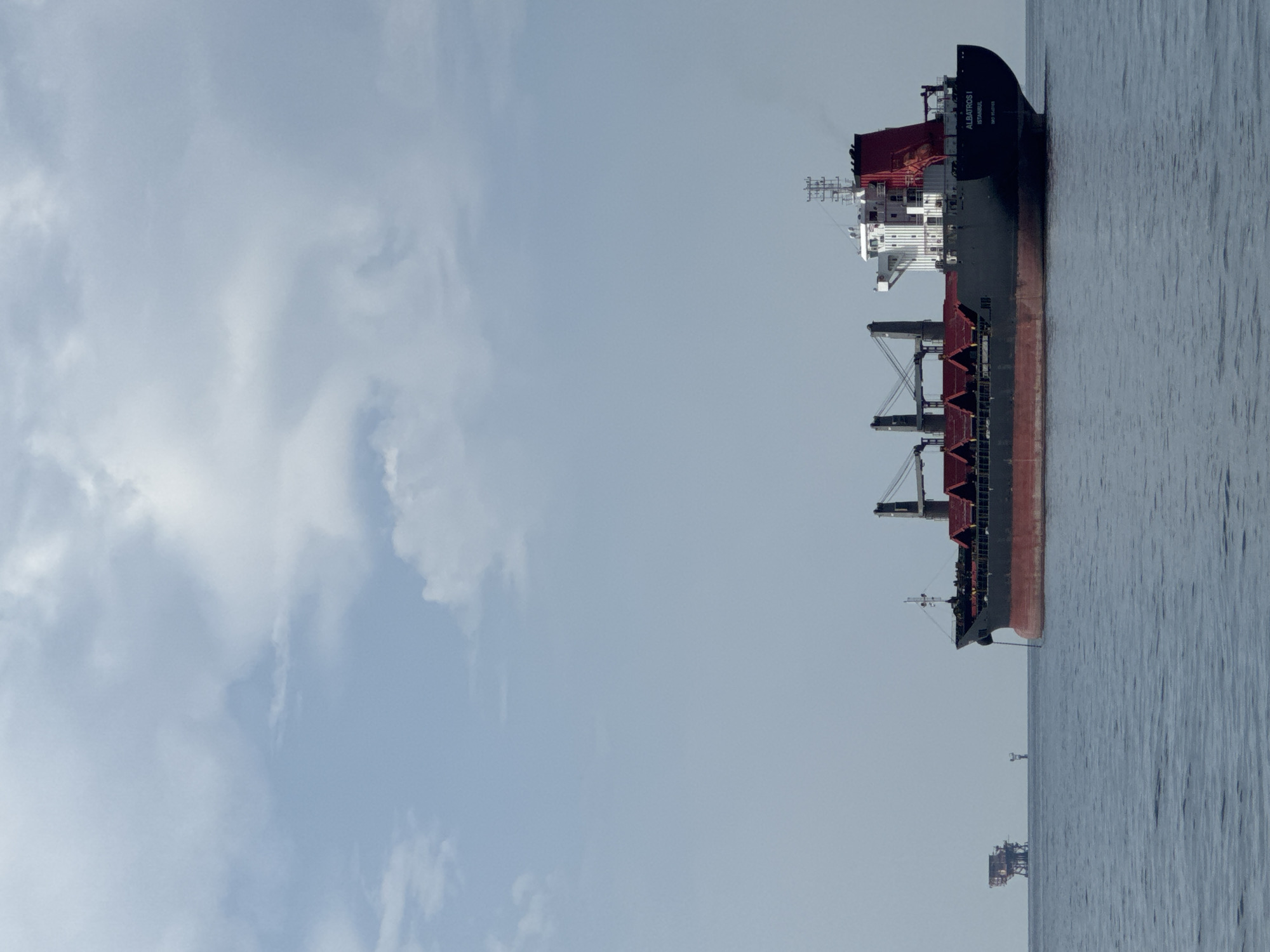 An oil rig and a cargo ship are visible on the sea. The cargo ship is labeled "ALBATROS I ISTANBUL". The sky is cloudy. The scene is likely in the waters off the coast of Marina di Ravenna, Italy.