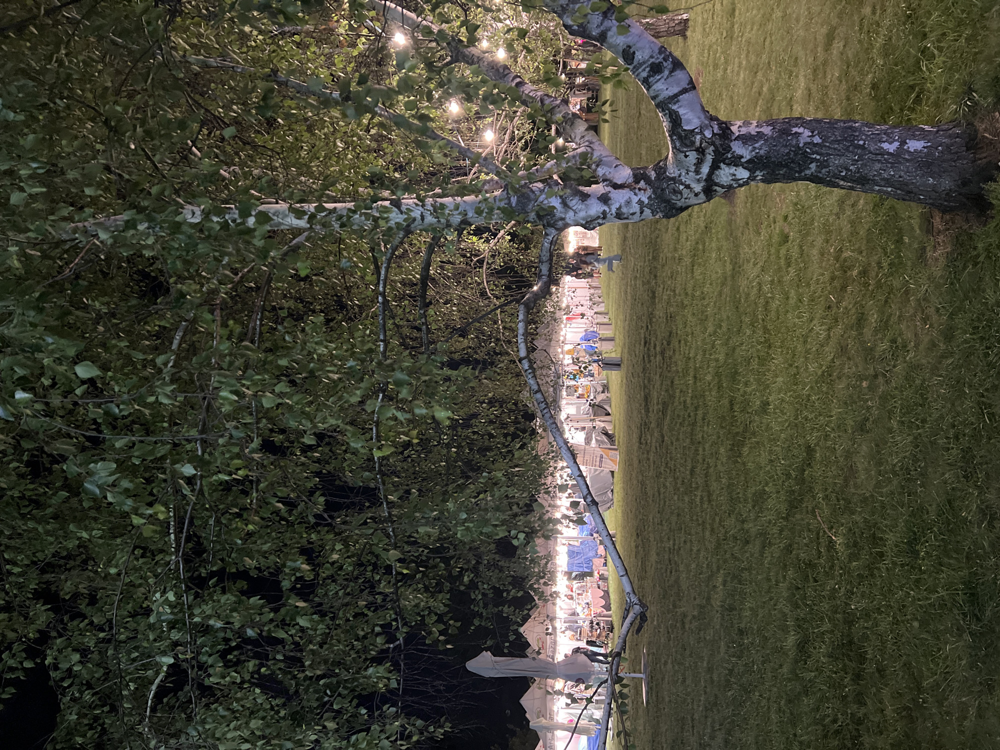 This image depicts an outdoor marketplace or fair at night, as suggested by the artificial lighting from strings of bulbs and illuminated stalls. The scene is set in a grassy area, likely a park or open field, with a prominent birch tree in the foreground. In the background, there are several white tents or stalls, each displaying various goods and appearing to be open for business. People are visible walking among the stalls and browsing, indicating activity and commerce. The overall atmosphere is lively and festive. The location is identified as being in the city of Sofia, Bulgaria.