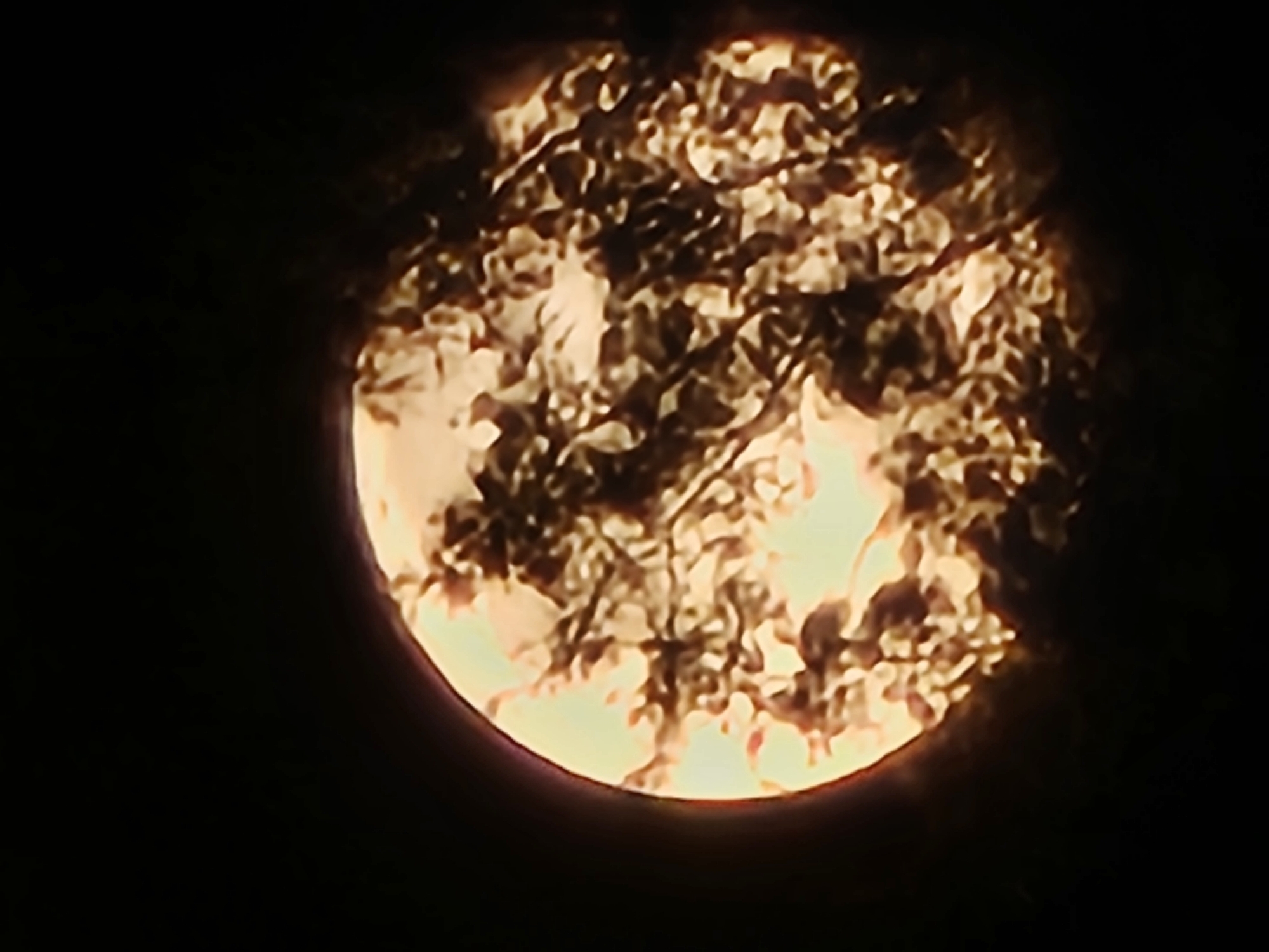 The image shows a full moon viewed through tree branches, possibly at night, based on the dark background. There are no people or specific objects visible other than the moon and tree branches. The scene is dark with light emanating from the moon. The location, Denpasar, Indonesia, cannot be verified from the image alone.