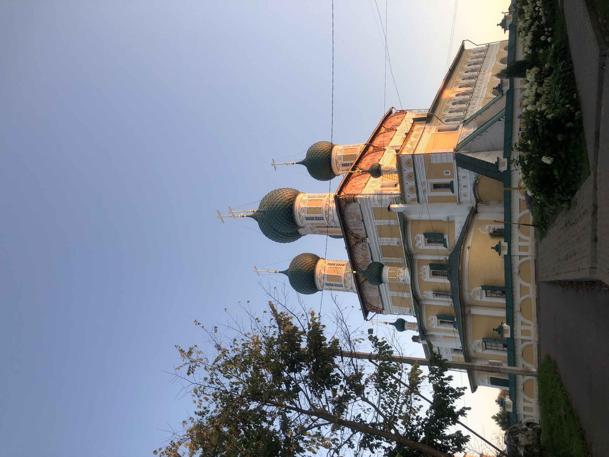The image captures a low-angle view of the Church of the Assumption of the Virgin Mary in Tutaev, Russia, bathed in the warm light of a setting or rising sun. The architectural style is distinctive, featuring multiple onion domes covered in green tiles, topped with golden crosses. The church's walls are predominantly yellow with white decorative elements and arched windows, some of which are shuttered. A tall tree with sparse autumn foliage stands to the left of the church, partially obscuring the sky. Power lines crisscross the frame, indicating the presence of infrastructure. In the foreground, a paved pathway and a road are visible, suggesting a public area. Lush green bushes with white flowers are planted along the front of the church's wall, which is decorated with a white and yellow patterned fence. A parked vehicle is partially visible on the left side of the image, near a patch of grass. The sky is a clear, pale blue, typical of either dawn or dusk.