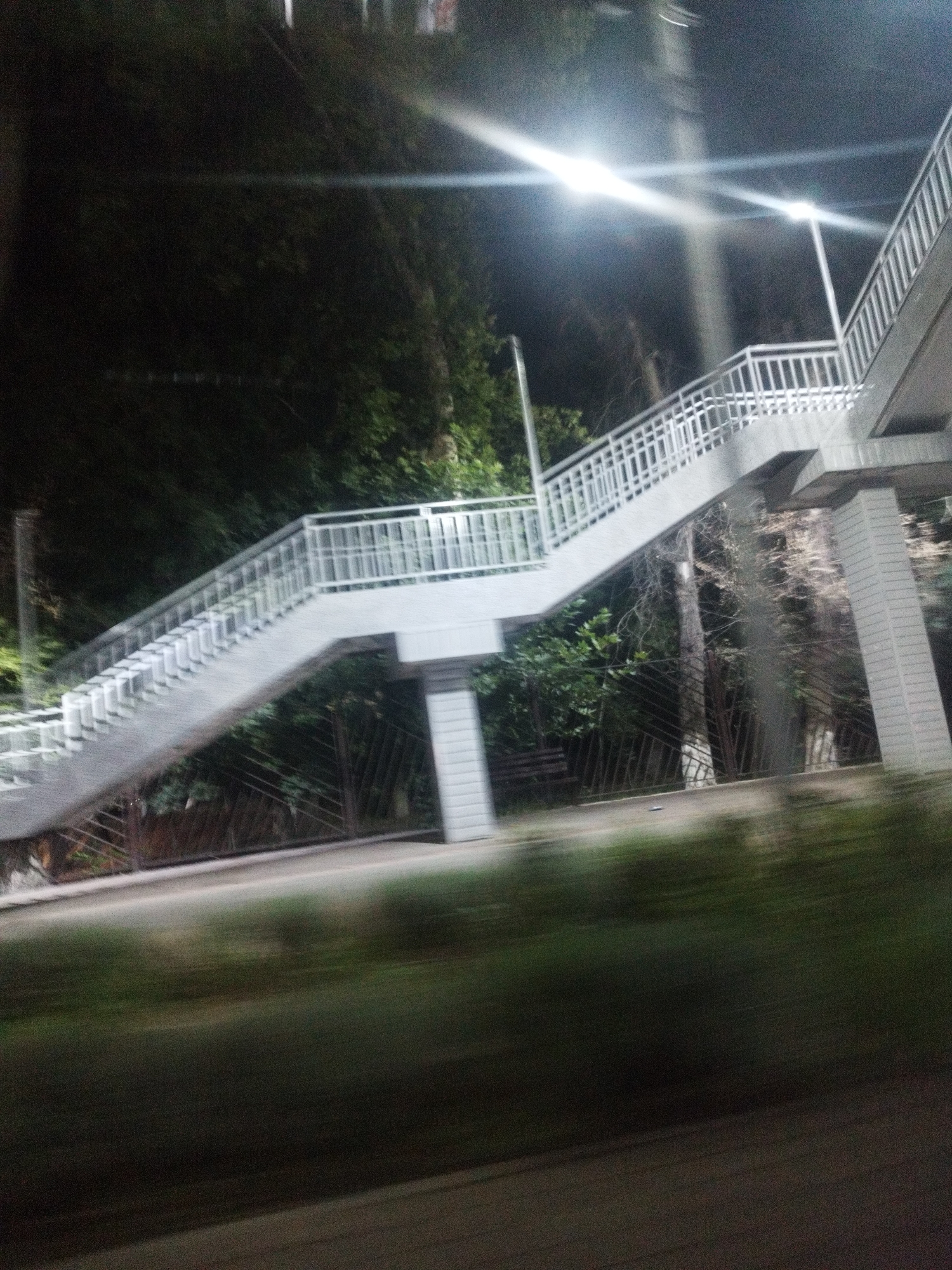 The image depicts a pedestrian overpass at night in Shymkent, Kazakhstan. The overpass is constructed of white concrete and metal railings, and it curves upwards from the left side of the frame to the right. Two streetlights are visible, illuminating the scene with bright white light, casting lens flares and streaks across the dark sky. The overpass is surrounded by dense foliage, appearing as dark green masses against the night. The ground level is blurred due to motion, suggesting the image was taken from a moving vehicle. The overall impression is one of urban infrastructure blending with a natural, dark environment.