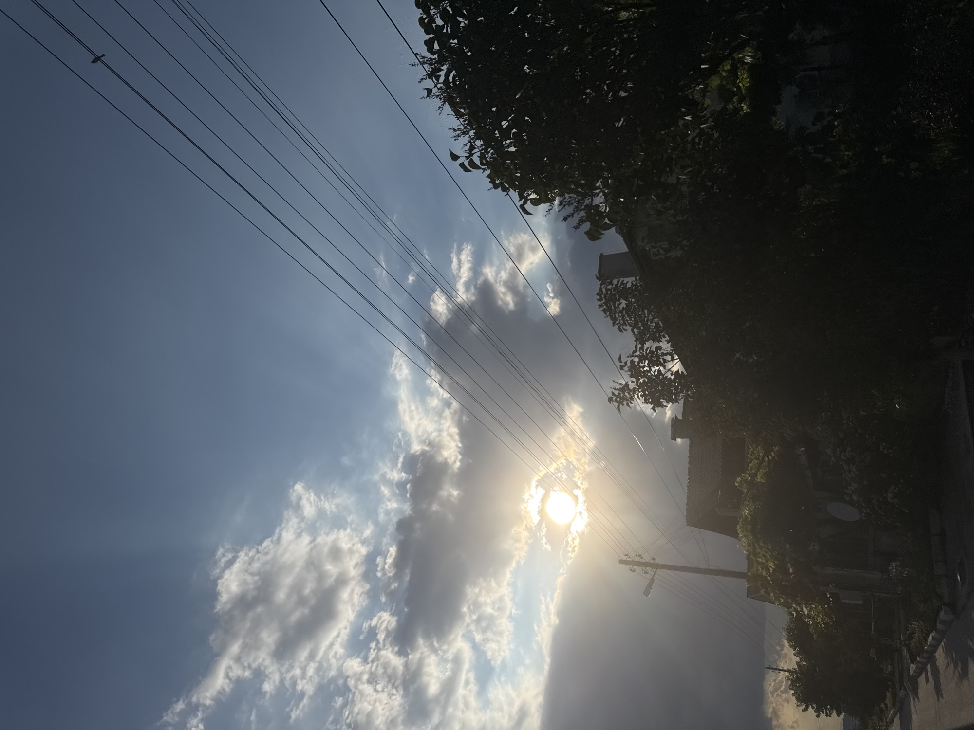 The image shows a street scene in Gelemenovo, Bulgaria, with a view looking up towards the sky. Power lines crisscross the frame, strung between utility poles. Silhouetted against the bright sky is a building with a tiled roof, partially obscured by dense foliage from a tree. The sun is prominent in the sky, peeking through clouds and casting rays of light. The overall impression is of a sunny day, likely late afternoon or early evening given the angle of the sun and the contrast between light and shadow. The presence of the power lines and the building suggest a residential or semi-urban setting.