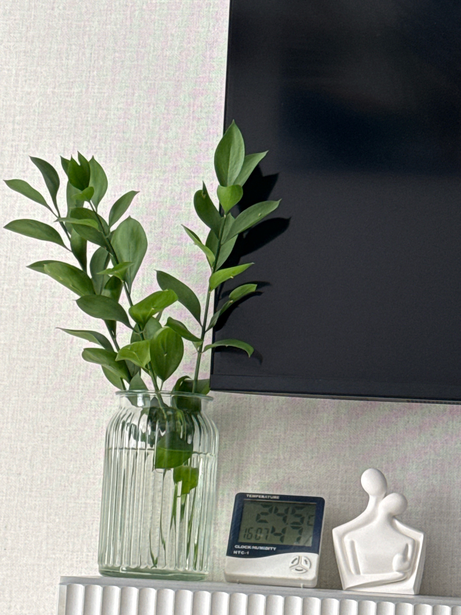 A still life composition is set on a white, textured shelf. To the left, a clear glass vase with vertical ribbed detailing holds several sprigs of green foliage. The foliage is bushy with small, oval-shaped leaves. To the right of the vase, a small digital thermometer displays "TEMPERATURE 24.5C" and "CLOCK/HUMIDITY 16:07 47%". Next to the thermometer is a small, white abstract sculpture of two figures embracing. In the background, a large, dark, rectangular object, likely a television screen, is visible. The wall behind the shelf has a subtle textured pattern. The overall scene suggests an indoor domestic setting, possibly in Vladivostok, Russia, though no specific city landmarks are identifiable.