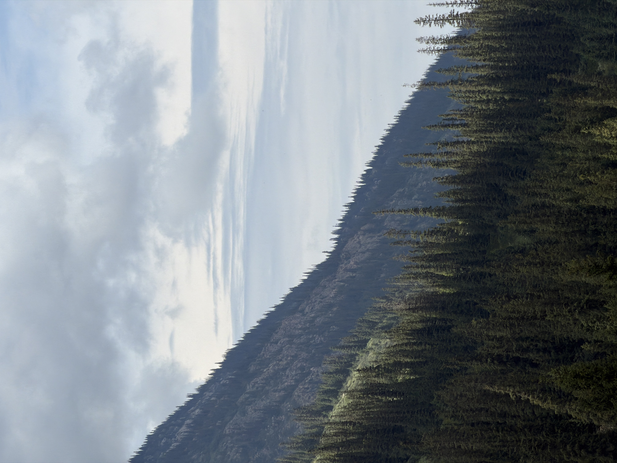 A vast, verdant mountain slope rises diagonally from the bottom left to the top right of the frame. Dense coniferous trees cover the lower and middle sections of the slope, their dark green foliage creating a textured, almost velvety appearance. The trees grow taller and more defined as they recede into the distance. Above the tree line, the mountain's rocky, barren surface is visible, appearing dark and rugged. The upper part of the image is dominated by a sky filled with a mix of light and dark gray clouds. Some areas of the sky are lighter, suggesting patches of sunlight breaking through, while others are darker and more ominous. The overall scene depicts a wild, natural mountain landscape under a dynamic sky. There are no people or man-made objects visible.