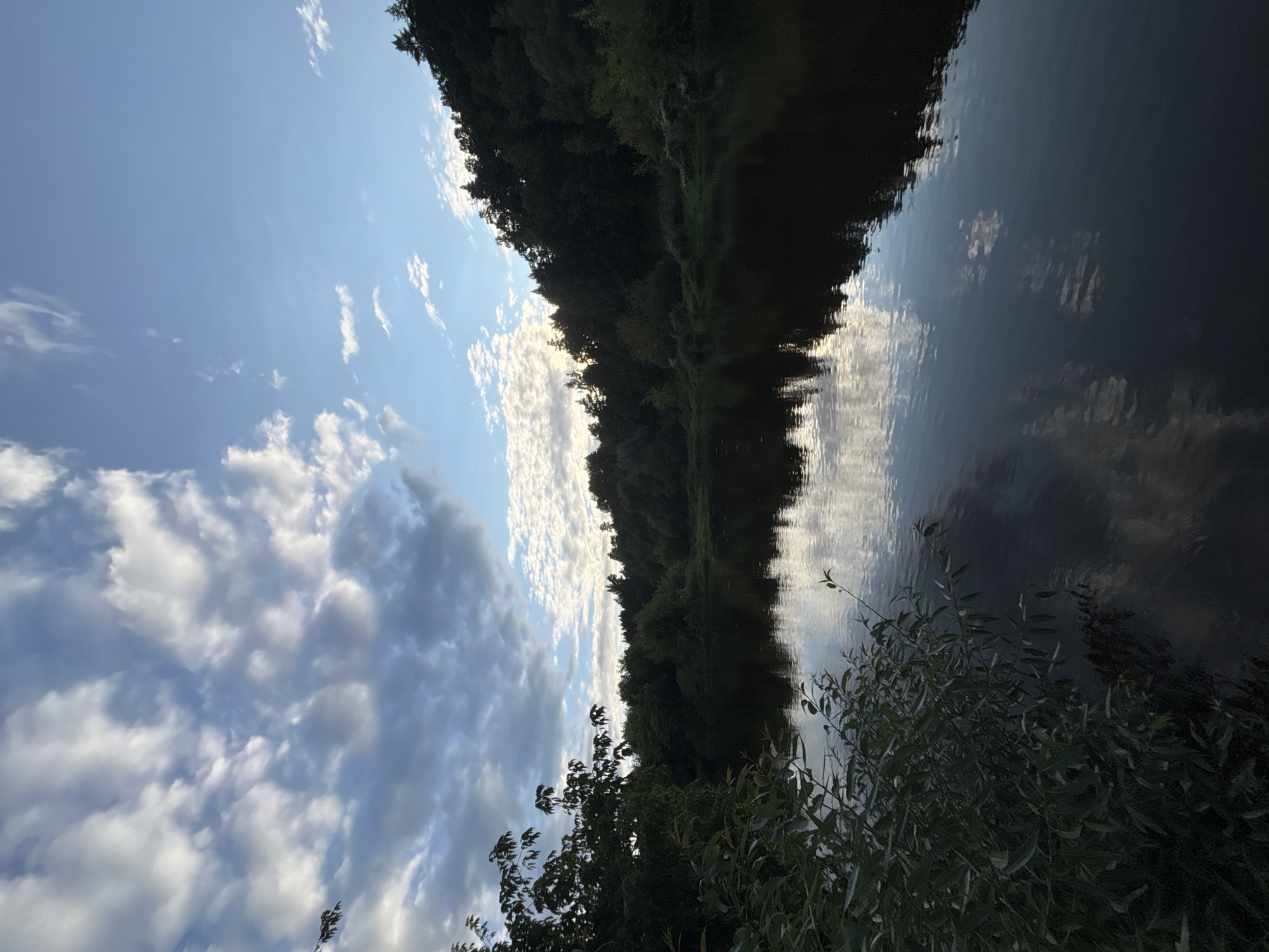 The image depicts a tranquil river scene with lush green foliage framing the left bank. The water is dark and reflects the sky and surrounding trees, creating a mirror-like effect. The sky is a vibrant blue, adorned with scattered white clouds that are illuminated by the sun. A dense forest covers the opposite bank, with the trees appearing dark against the lighter sky. The overall impression is one of natural beauty and serenity, likely a scenic spot along the Moskva River in Zvenigorod, Russia. There are no people or observable actions in the image.