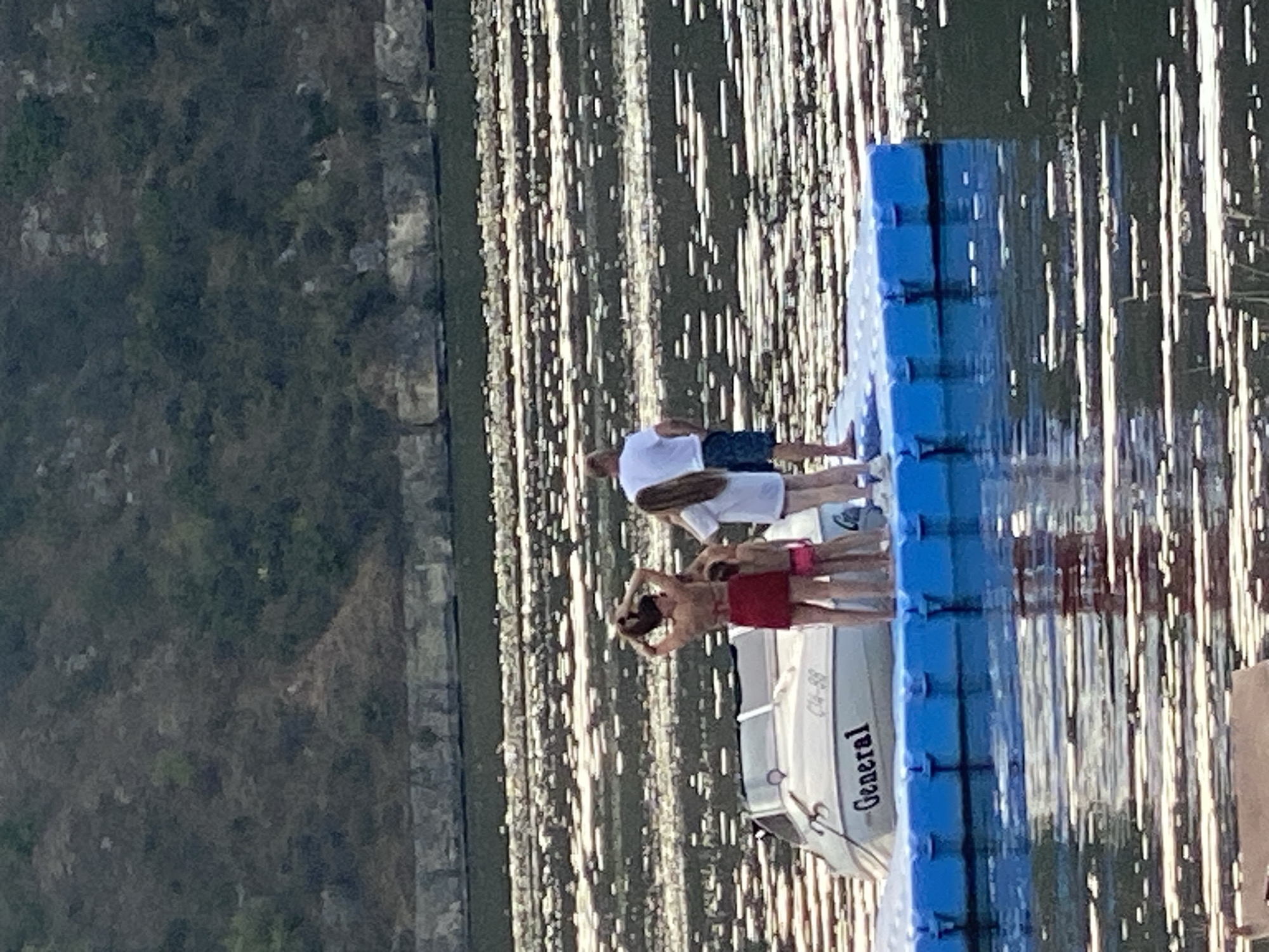 A group of four people are standing on a blue floating platform in a body of water. A white boat is docked to the left of the platform, with the word "General" visible on its side. The people appear to be a family, with two adults and two children. The woman in front is wearing a red bikini, while the other three are wearing white shirts and shorts. They are facing away from the camera, towards the water and the opposite shore, which is lined with trees. The water is calm and reflects the sunlight, creating a shimmering effect. The scene is likely taking place in Molovata Nouă, Moldova, a town located on the Dniester River.