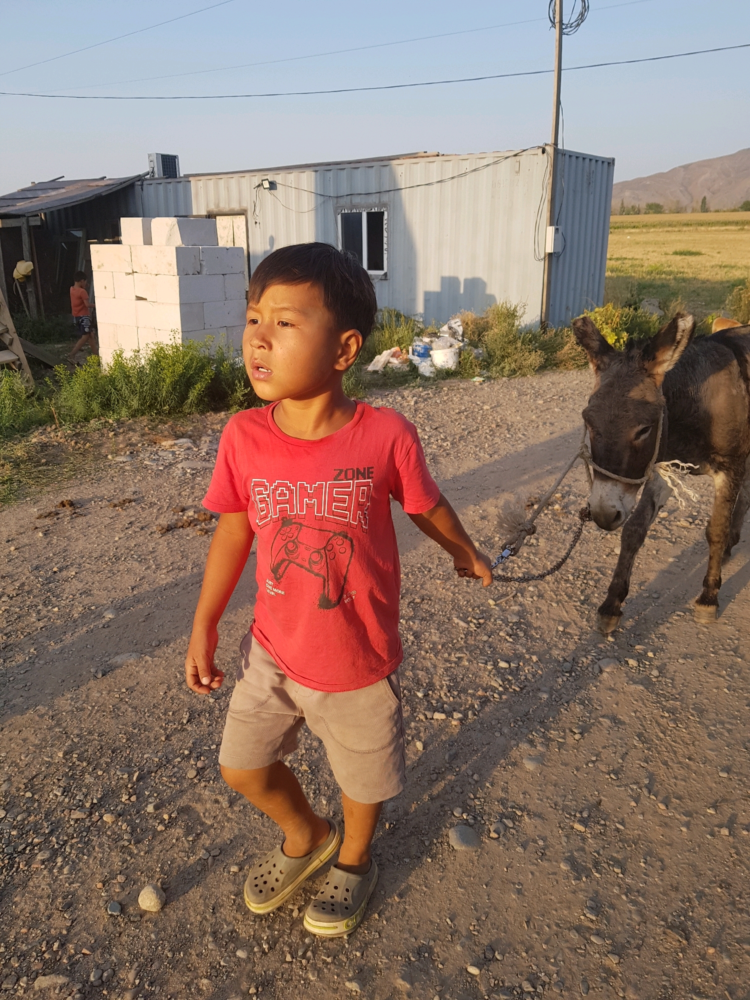 A young East Asian boy in a red t-shirt with a "Gamer Zone" graphic and grey shorts stands on a dirt path, holding a rope attached to a donkey. The boy is looking upwards and to his left, with his mouth slightly open. The donkey, a dark brown color with a white tuft on its forehead, stands beside him, also facing to the boy's left. In the background, there are two structures: a dark, corrugated metal lean-to on the left, and a larger, light blue corrugated metal shipping container on the right with a window. Piles of white building blocks are stacked in front of the lean-to. The ground is covered in dirt and small stones. Beyond the structures, a grassy field stretches towards a distant, hazy mountain range under a clear, pale blue sky. The scene appears to be outdoors in a rural or semi-rural setting, likely the village of Aqdala in Kazakhstan, given the context of the query. The lighting suggests it is late afternoon or early evening, with long shadows cast by the subjects and structures.