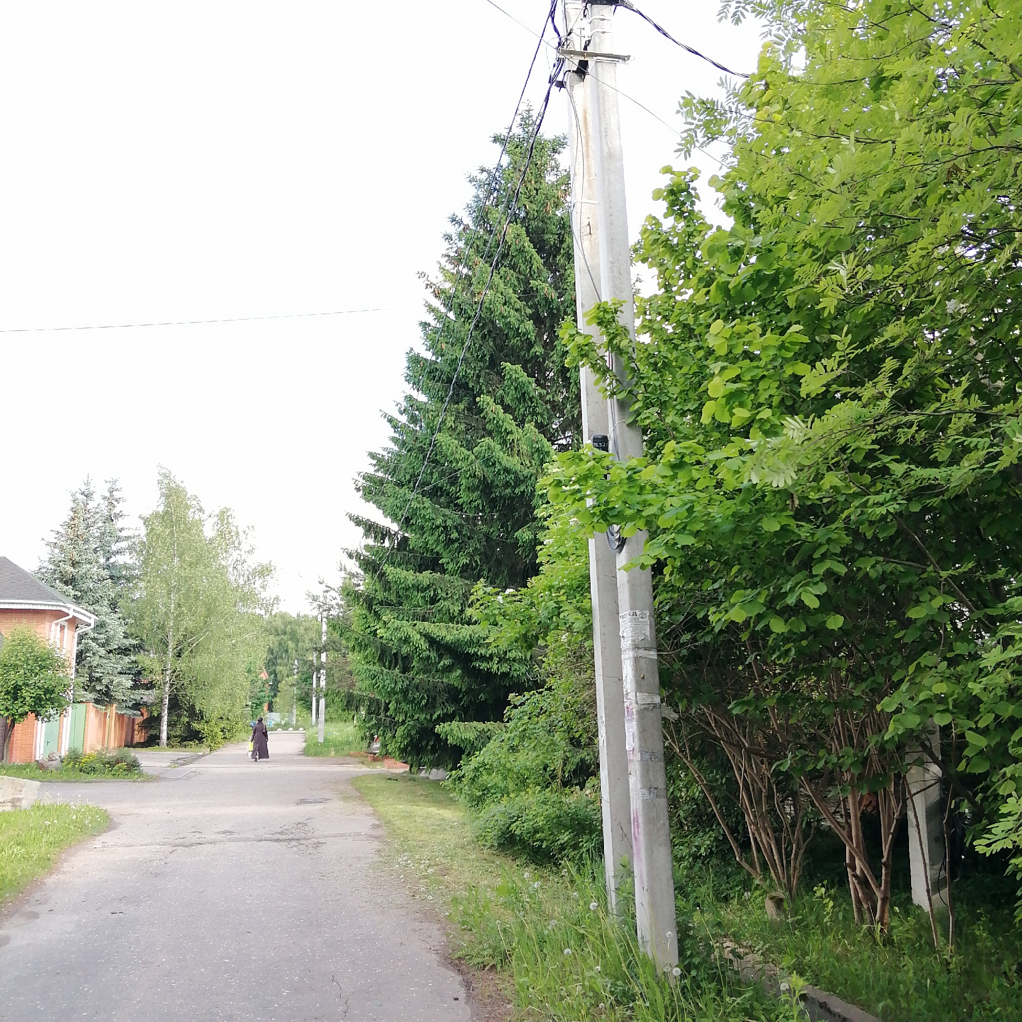 The image depicts a street in the city of Здравница, Russia. A paved road extends into the distance, flanked by greenery including coniferous trees, leafy trees, and overgrown vegetation. A concrete utility pole stands near the right side of the road. On the left side of the road, there is a glimpse of a brick building with a green fence. In the distance, a person in dark clothing walks or stands on the road, possibly with a cart or stroller. The sky is overcast, creating a muted, slightly dim lighting condition.