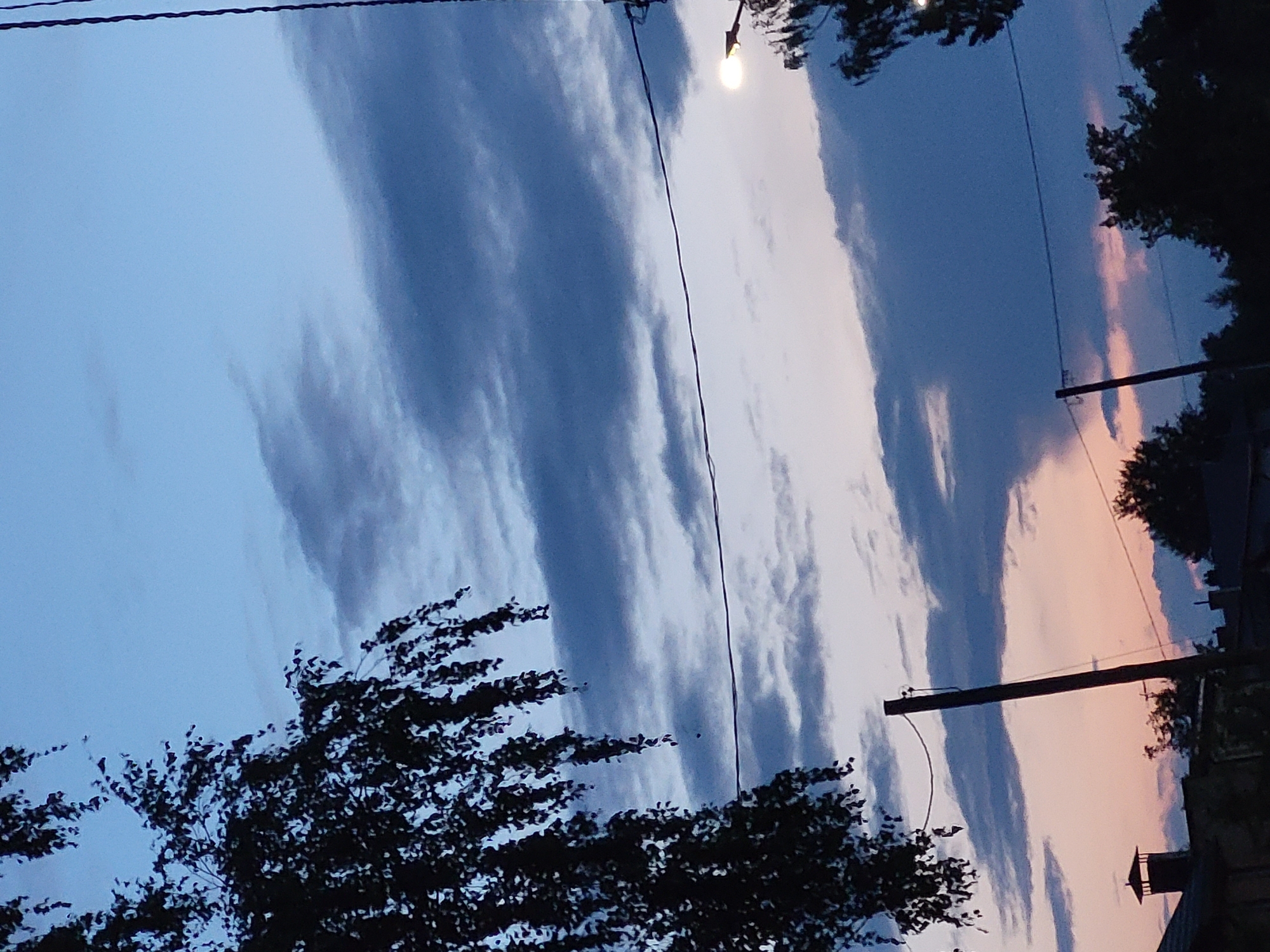 The image depicts an outdoor scene at dusk in an unknown city. A silhouette of a tree with hanging branches occupies the left side of the frame, extending towards the center. The sky is a gradient of blues and subtle pinks, with elongated, wispy clouds. A power line runs horizontally across the mid-section of the image. On the right side, a streetlamp with a lit bulb is visible, casting a soft glow. The lower portion of the image reveals silhouetted trees, rooftops with chimneys, and utility poles.