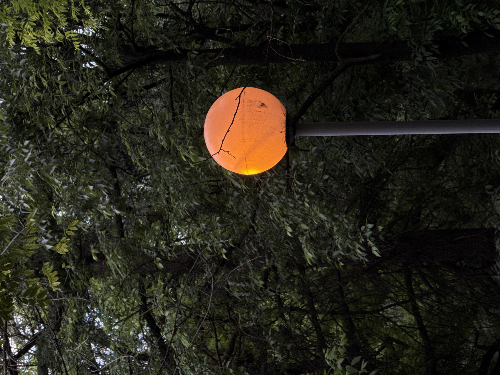 A low-angle shot captures a cracked, orange spherical street lamp affixed to a gray pole. The lamp is positioned amidst a backdrop of dense, dark green foliage consisting of leaves and branches, which suggests an urban park setting. The image is possibly taken in a dimly lit area or during the evening. The precise location within Plovdiv, Bulgaria, cannot be determined solely from the visual elements.