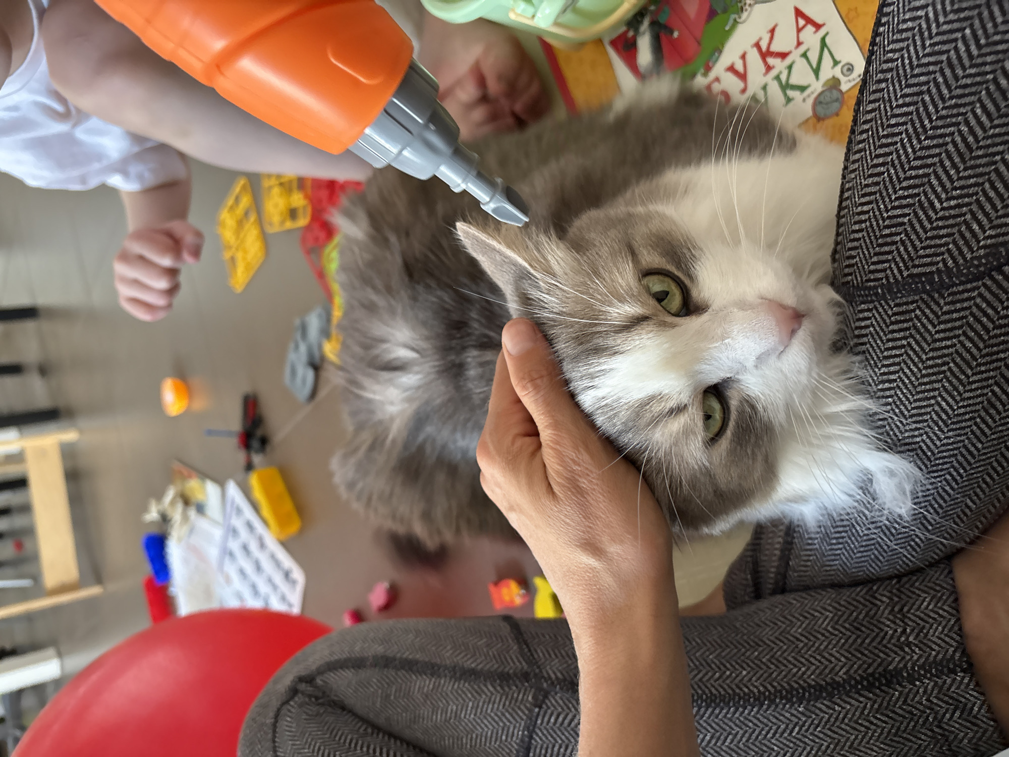 A top-down indoor shot features a long-haired cat lying on a person's lap, who is wearing gray pants with a herringbone pattern. The cat, with gray and white fur and green eyes, is being touched by another person's hand. Above the cat, a child's hand holds an orange and gray toy drill, pointing towards the cat's head. Scattered on the floor are various children's toys, including yellow blocks, a red balloon, and a book titled "БУКАВКИ." The location is a domestic setting, likely a home. There is no information in the image to support the location being Ulyanovsk, Russia.