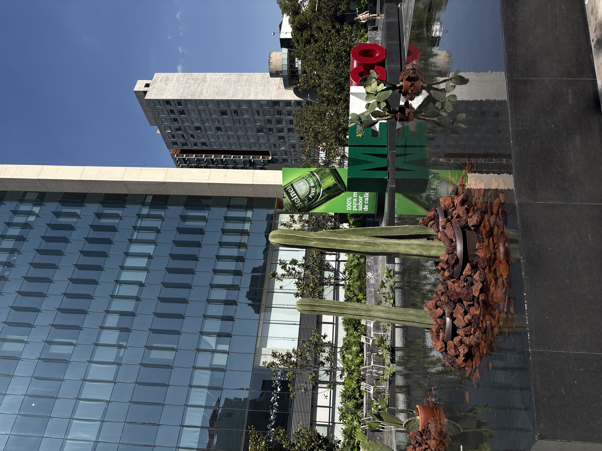 The image shows a public art installation in Mexico City, Mexico. The installation features the word "MEXICO" in large, colorful letters alongside promotional material for Heineken beer. The letters and the beer advertisement are situated within a shallow, reflective pool containing cacti and red volcanic rock. The pool's dark surface reflects the surrounding urban landscape, including modern office buildings with glass facades and a taller, older building in the background. The sky is clear and blue.