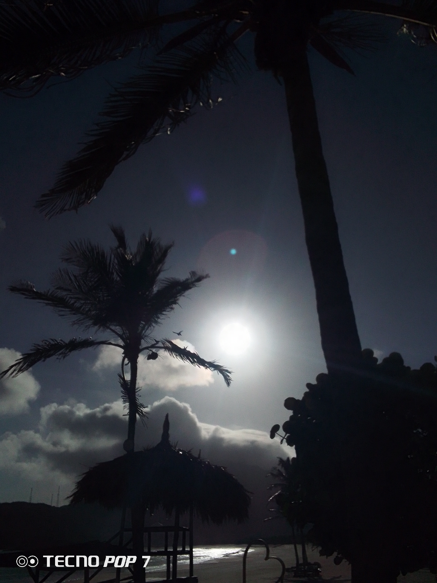 The image depicts a beach scene, likely at dusk or dawn, in Pedro González, Venezuela. The foreground features silhouetted palm trees and a thatched-roof beach hut. The sun, partially obscured by clouds, is the dominant light source, creating strong contrast. The horizon is visible in the distance, with faint indications of ocean waves and sand. The image also features a logo for "Tecno Pop 7" in the lower left corner.