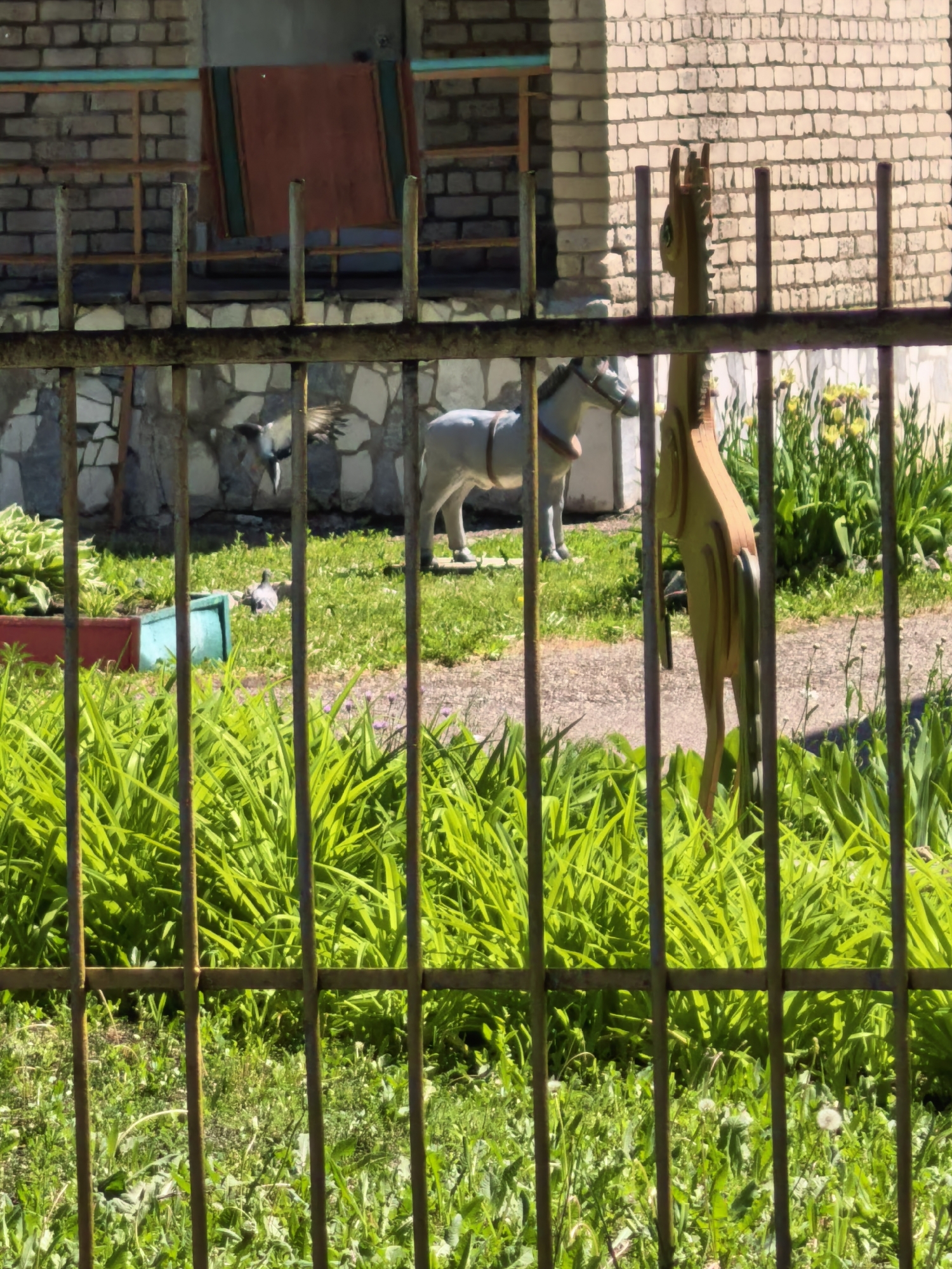 The image shows a fenced yard in Sterlitamak, Russia. Behind a weathered metal fence overgrown with grass and foliage, there's a gray horse statue and a wooden horse figure. Two pigeons are in the background, with one flying. A brick building with a balcony is visible behind the fence, along with plant containers.