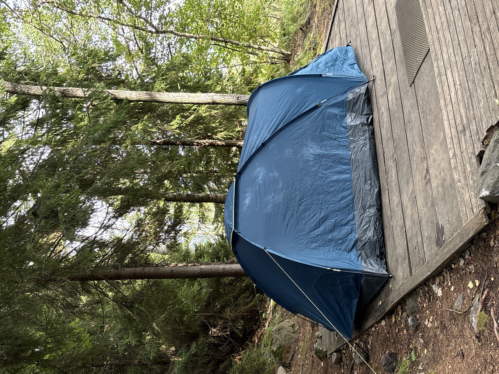 A blue tent is set up on a wooden platform in a forest clearing. The tent is pitched on a platform made of wooden planks. The surrounding environment is a forest with tall trees and dense foliage. The ground around the platform is covered with dirt, fallen leaves, and rocks. Sunlight filters through the trees, creating dappled light. The image captures a campsite in a natural, wooded setting.