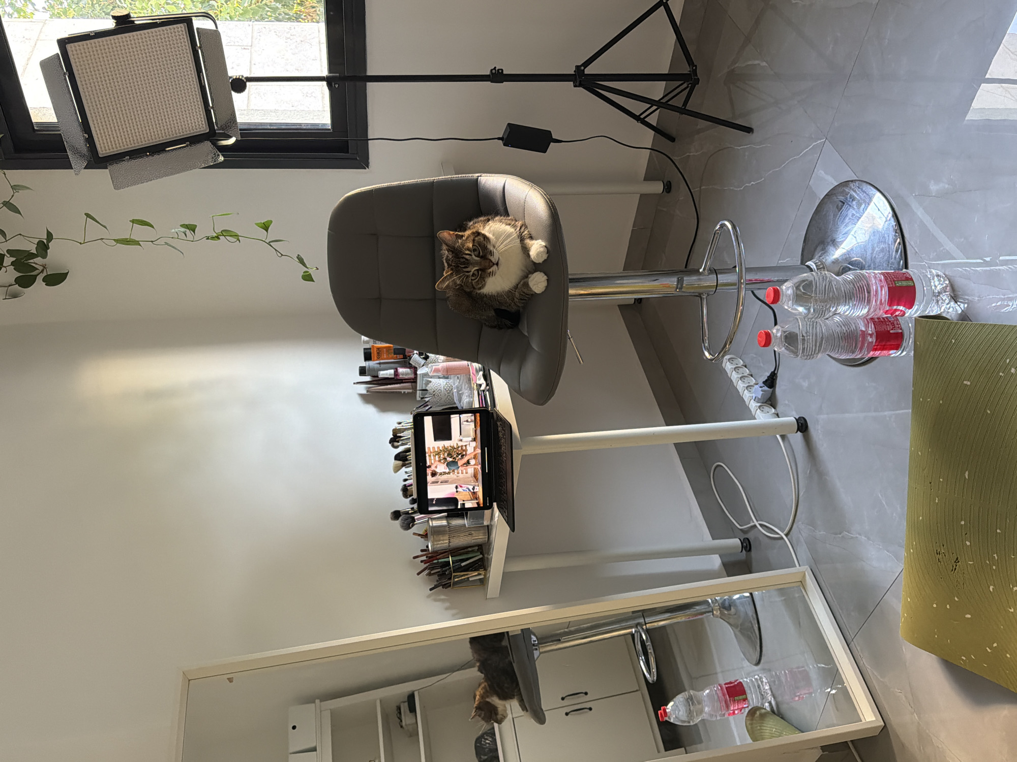 A domestic scene in a room possibly located in Bat Yam, Israel. A tabby cat with white paws sits on a gray, upholstered stool in front of a white desk laden with makeup brushes and other cosmetic items. A laptop is open on the desk, displaying an image of a person in front of a Christmas tree. To the right of the desk, a large, rectangular LED light fixture on a stand illuminates the scene. A full-length mirror is positioned to the left of the desk, reflecting a portion of the room and a white shelf unit. Several bottles of water are placed on the floor near the stool and the mirror. The room has light-colored walls and a tiled floor, and a window with greenery visible outside suggests it may be daytime. The overall impression is one of a personal workspace or vanity area.