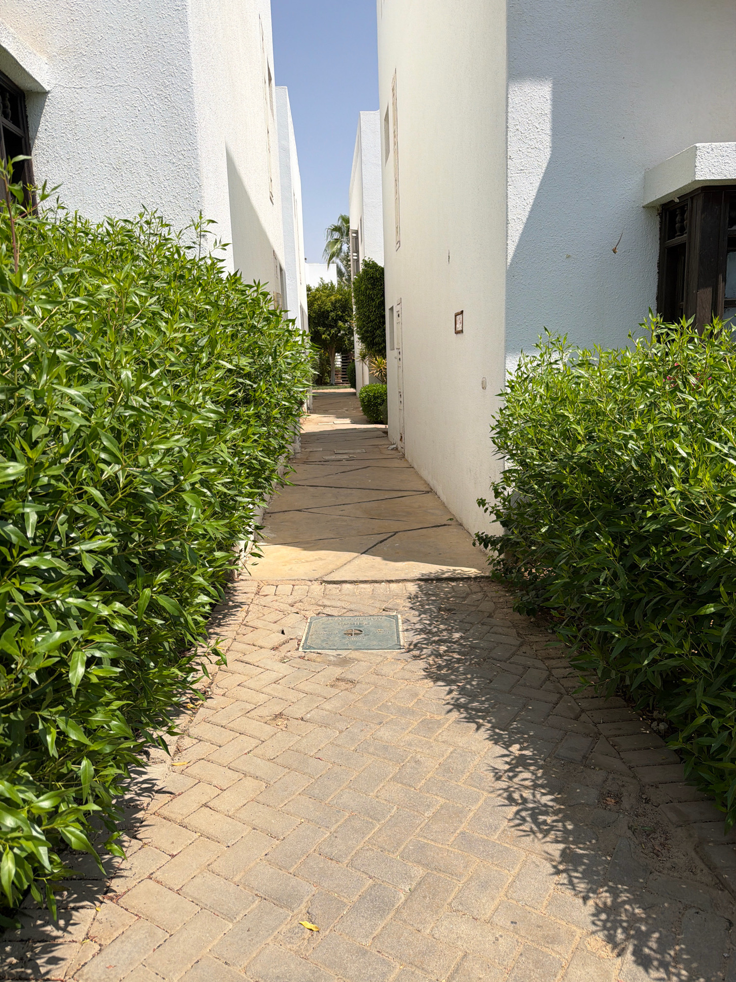 The image shows a narrow pathway in Sharm El Sheikh, Egypt, bordered by lush green bushes on either side and flanked by white stucco buildings. The pathway is paved with light brown brick pavers laid in a herringbone pattern, leading into the distance between two buildings. The sun casts sharp shadows from the foliage onto the pathway. In the mid-ground, a metal manhole cover is visible on the pathway. The buildings have dark-framed windows and appear to be part of a residential or resort complex, with a clear blue sky overhead. The environment is clean and well-maintained, suggesting a tropical or subtropical climate.