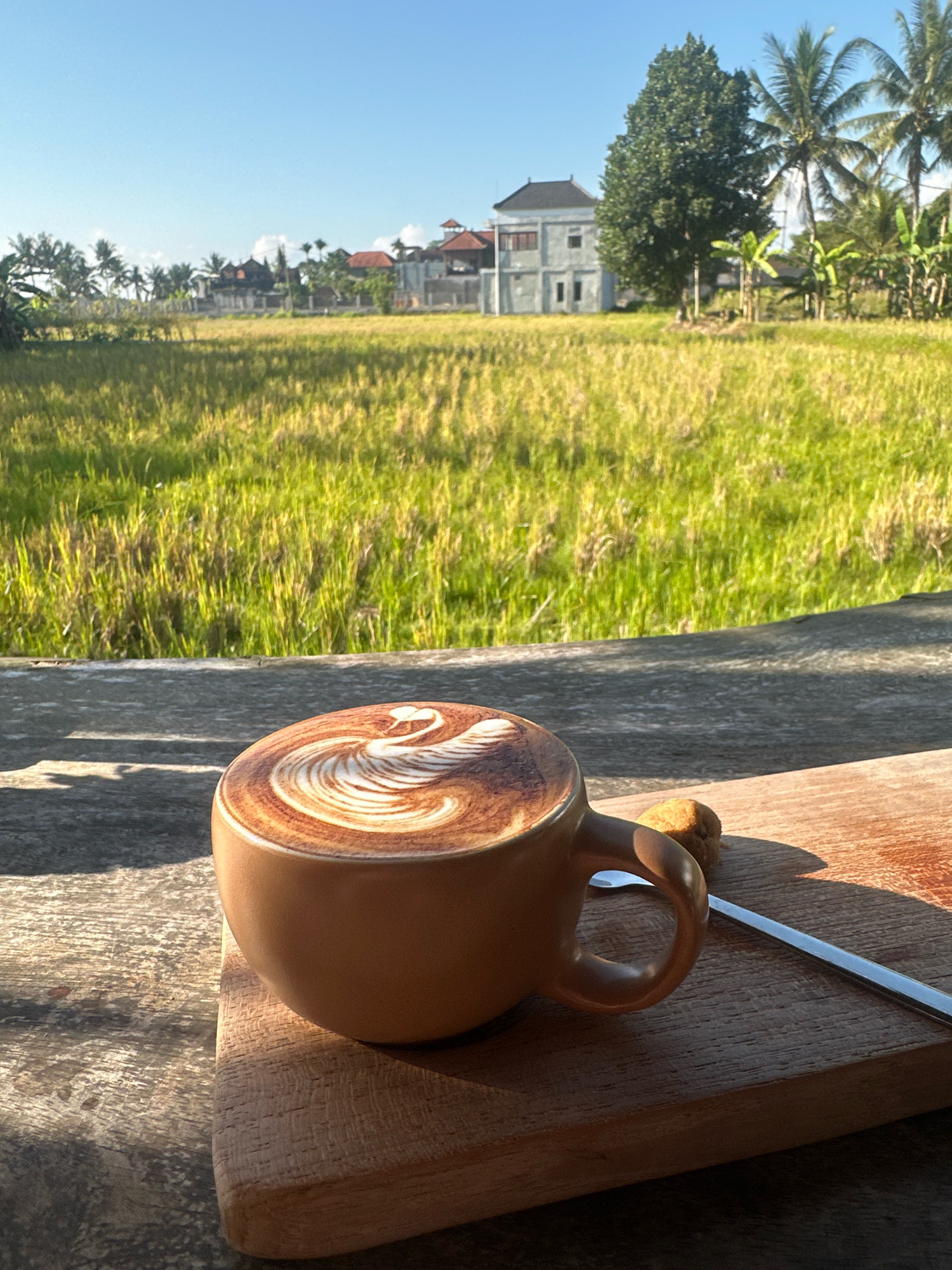 A tan mug of coffee with latte art depicting a swan sits on a wooden board. The board is on a weathered wooden surface. A spoon rests on the board next to the mug. A small, round cookie is also on the board. In the background, a lush green field of rice paddies stretches towards a line of buildings and palm trees under a clear blue sky. The sunlight casts shadows on the wooden surface.
