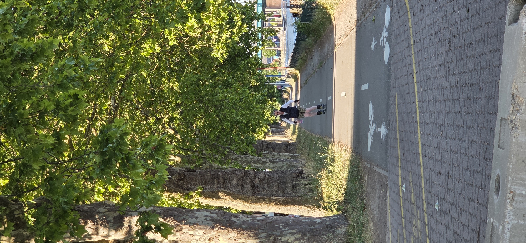 A man is inline skating on a paved pathway lined with large trees on the left and a body of water with a bridge in the background on the right. The pathway is marked with white lines, and bicycle symbols are painted on the ground. The man is wearing a white shirt, a dark vest, khaki shorts, sunglasses, and inline skates. He is holding a pink water bottle in his left hand. The scene appears to be in the city of Strasbourg, France, likely along the Ill River. The trees are lush with green leaves, and the sun is casting shadows on the pathway, indicating it is likely late afternoon or early morning. The overall atmosphere is serene and recreational.