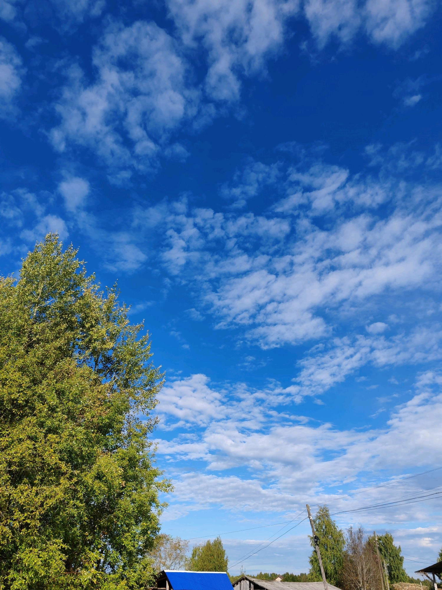 The image shows a bright blue sky with scattered white clouds. In the foreground, on the left, a large tree with green foliage is visible, extending from the bottom to the middle of the frame. Below the tree and towards the bottom of the image, there are several rustic structures with visible roofs, one of which is a bright blue. Power lines and utility poles are present in the middle ground, stretching across the scene. In the distance, trees and a field of vegetation can be seen. The scene appears to be a rural or semi-rural landscape, possibly in the city of Chudlehm, Russia, under a clear, sunny sky. There are no people or animals visible in the image.