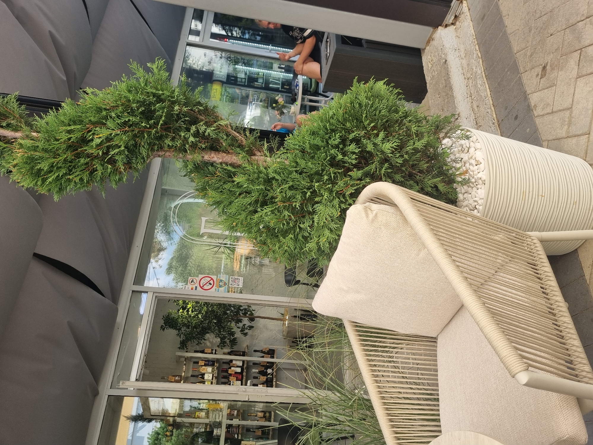An exterior view shows a patio area with a light-colored woven armchair in the foreground. Behind the chair, a tall, conical evergreen tree in a white planter is prominently displayed. Beyond the tree, large glass windows reveal the interior of what appears to be a cafe or restaurant. Shelves filled with bottles are visible inside, along with other patrons seated at tables. A grey awning covers the outdoor seating area. The ground is paved with interlocking grey and beige tiles, and there are some concrete steps leading to the building entrance.