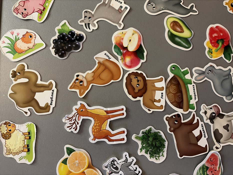 A collection of illustrated magnet stickers are arranged on a gray surface. The images include a pig, guinea pig, goat, black currant, camel, fox, apples, avocado, bell peppers, lion, turtle, rabbit, sheep, deer, bear, cow, watermelon, lemon, parsley, a seal, and a raccoon. Each image has text in a Cyrillic alphabet. The stickers are cartoon-style illustrations of animals and food items.