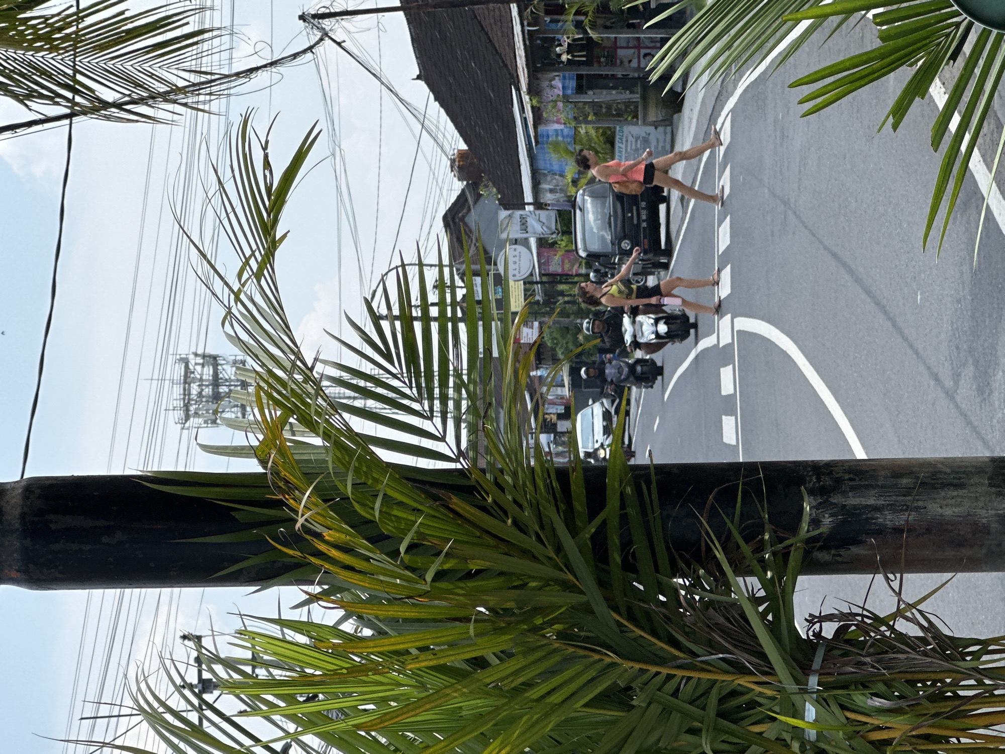 The scene depicts a street in Dalung, Indonesia, under a partially cloudy sky. In the foreground, a dark utility pole is situated on the left, partially obscured by vibrant green palm fronds. Additional palm fronds frame the right side of the image. The midground features an asphalt road with white lane markings, including a distinct crosswalk where two women are traversing from left to right. The woman on the left wears a yellow-green top and dark shorts, holding a pink bottle. The woman on the right wears an orange top and dark shorts. Both women are wearing sandals. Vehicular traffic includes a black pickup truck (license plate DN 1632 FD) positioned behind the pedestrians, and several motorcycles, one white scooter with a helmeted rider directly to the left of the crosswalk. A white car is visible further down the road. In the background, buildings line both sides of the street, featuring signage for businesses such as "BLUSH BEAUTY STUDIO," "LAUNDRY," and partially visible "ANY SALON." Numerous overhead utility lines span across the frame, and a large communication tower is visible in the distant background to the left.