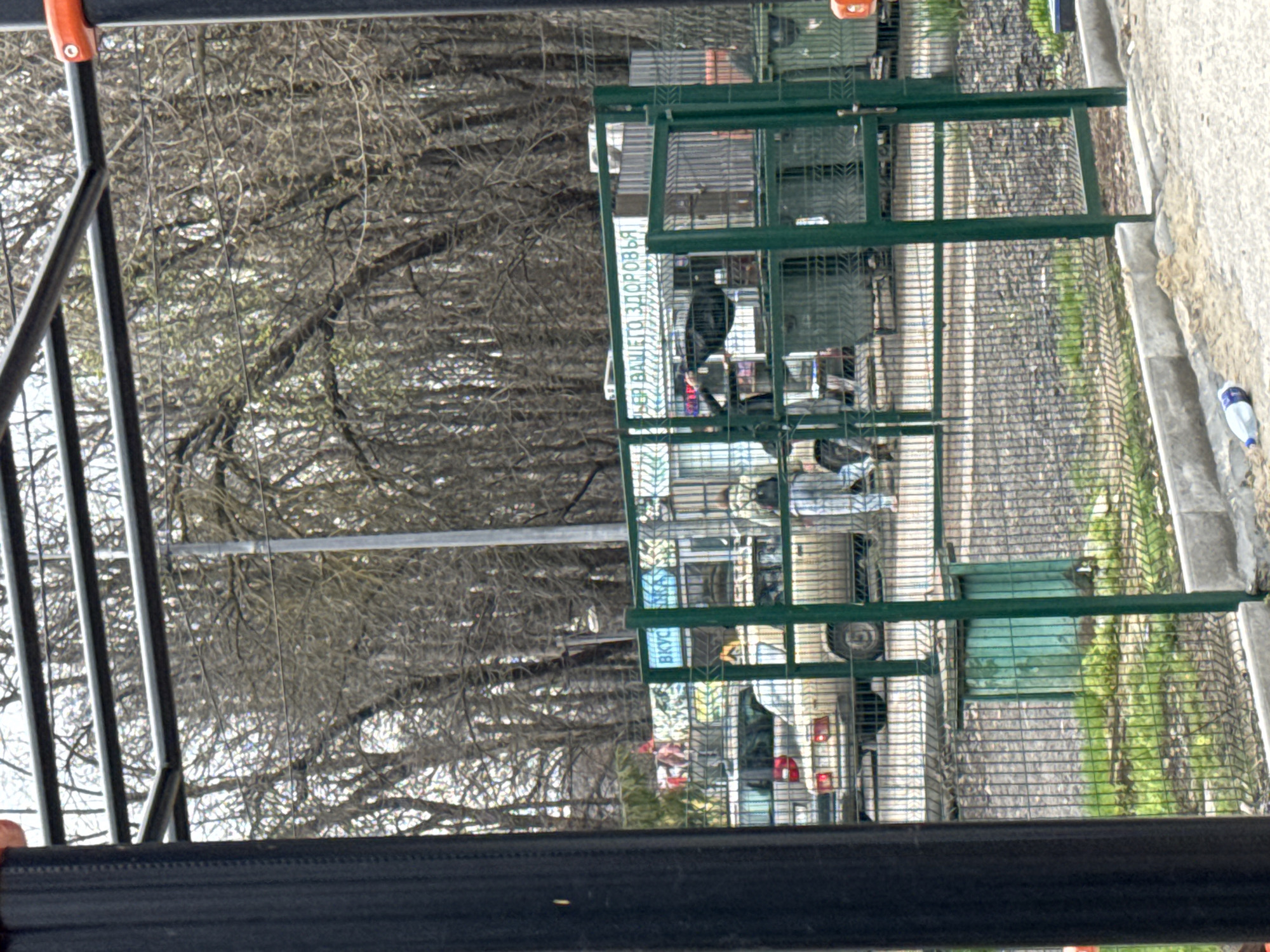 The image shows a fenced area in Rostov-on-Don, Russia. Cars and people are visible inside the fenced area, and a sign with Cyrillic text is attached to the fence. Trees are visible in the background, and a section of a metal structure is in the foreground. A discarded plastic bottle rests on the pavement.