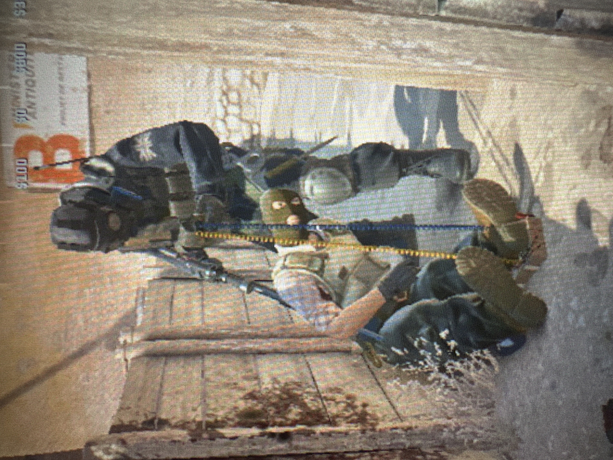 The image depicts a scene from the video game Counter-Strike: Global Offensive. In the foreground, a terrorist player wearing a tan shirt and a tactical vest is lying on the ground, apparently incapacitated. A counter-terrorist player, dressed in a black tactical suit and helmet, stands over the downed player. The counter-terrorist is holding a rifle and appears to be interacting with the downed player, possibly interrogating or finishing them off. The environment suggests an urban setting, possibly a desert-themed map, with brick walls and a sand-colored ground. A sign with "B" and monetary symbols is visible in the background, which is common in CS:GO maps.