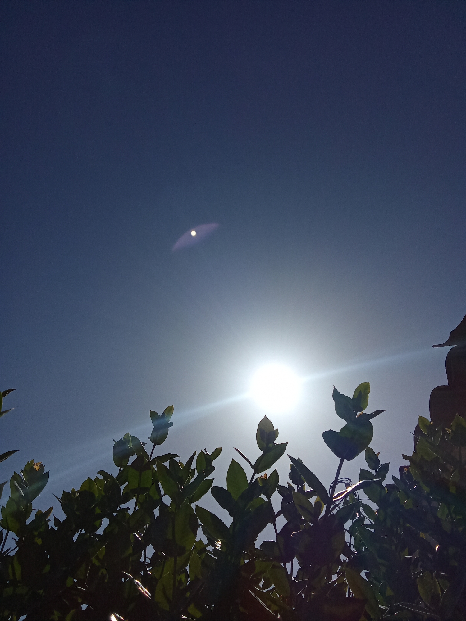 The image depicts a low-angle shot of green foliage silhouetted against a bright, blue sky. The sun is visible through the leaves, creating a lens flare effect. Another less prominent, smaller lens flare is visible higher up in the sky. The location is likely Juan Griego, Venezuela, though there is no explicit evidence within the image to support this claim. No people or interactions are visible. The environment consists of clear skies and vegetation.