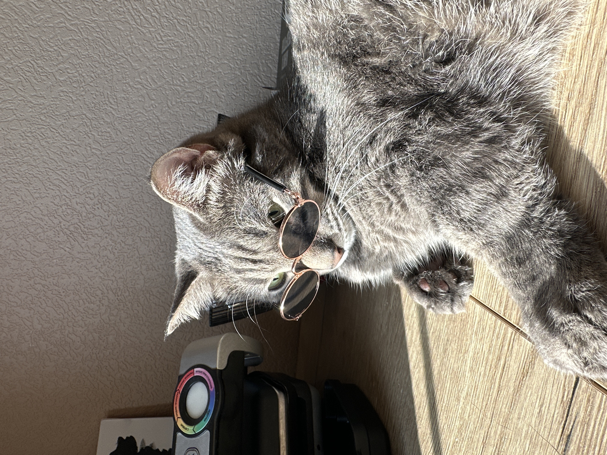 A gray tabby cat is lying on a wooden surface, possibly a table or floor, with its head near the edge. The cat is wearing rose gold-rimmed sunglasses. Next to the cat's head is a black and white electronic device with a colorful circular dial. The background includes a textured beige wall. The scene appears to be indoors, and the lighting suggests a sunny day. The location in Krasnoyarsk, Russia is not discernible from the image.