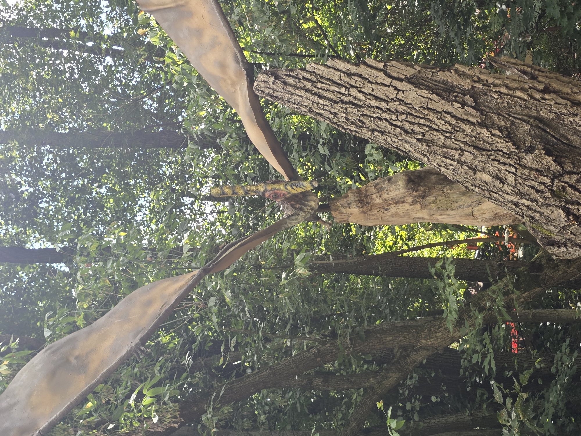A model of a pterodactyl with outstretched wings is displayed in a forested area, likely in the zoo located in Vyškov, Czechia. The model is perched atop a weathered wooden post or stump, with its wings extending horizontally across the frame. The background consists of lush green foliage and trees, suggesting an outdoor exhibit. Sunlight filters through the leaves, creating dappled lighting. In the foreground, a large, textured tree trunk leans into the frame from the right. The pterodactyl model is designed with a yellow and black patterned neck and head, and its wings are a muted brown color. There are no people or visible animals in the image.