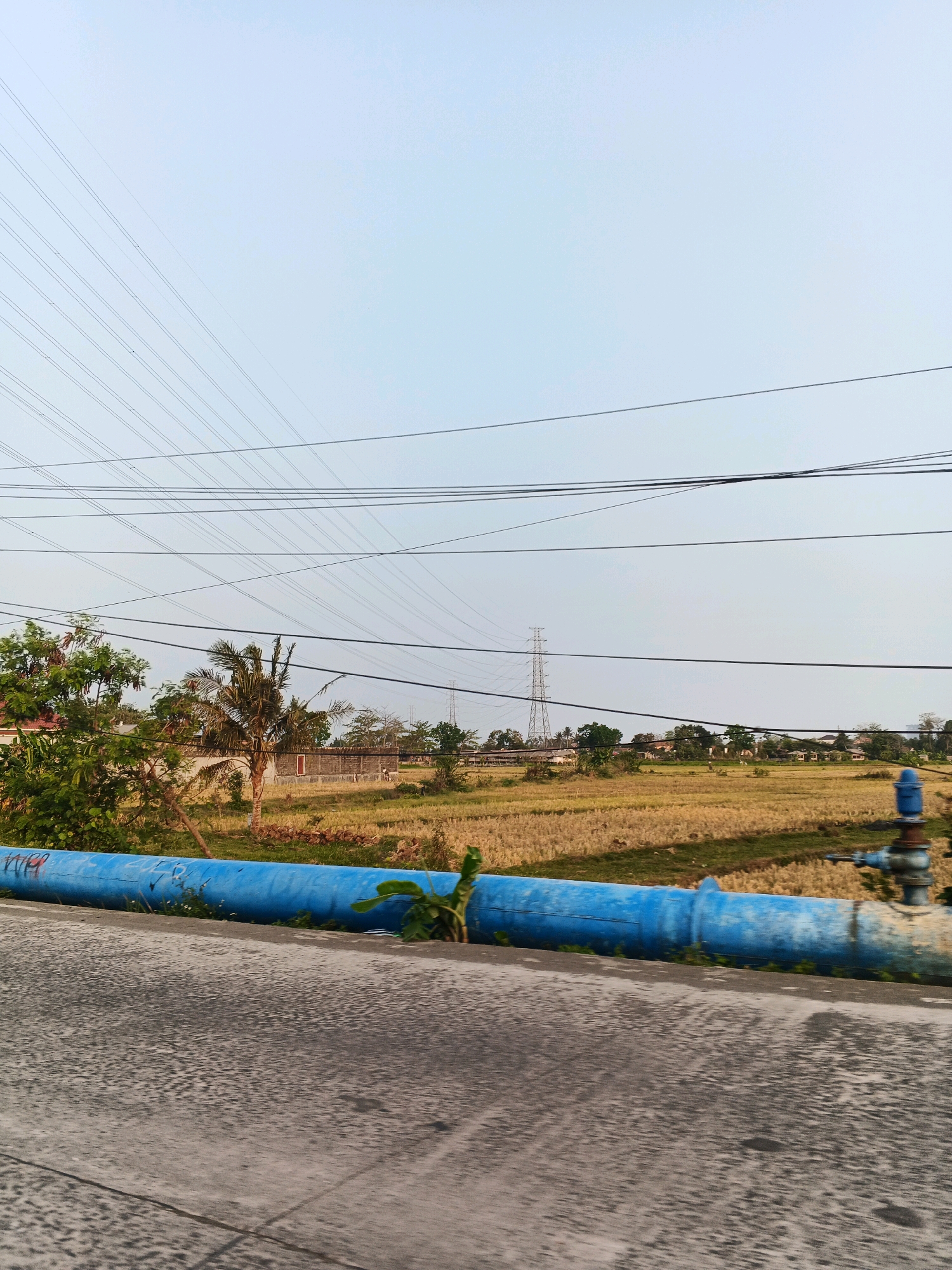 The image captures a rural landscape in Cilacap, Indonesia, likely on the outskirts of the city. The foreground is dominated by a gray, textured asphalt surface, suggestive of a road or pathway. A large, weathered blue pipe runs horizontally across the middle ground, partially obscuring the view beyond. The pipe is marked with some faint red graffiti. To the left of the pipe, lush green trees with dense foliage are visible, adding a touch of vibrant color to the scene. In the background, a dry, golden-hued field stretches out, suggesting it may be a harvested rice paddy or a similar agricultural area. Various structures, including houses with red roofs and a taller building that appears to be a farm structure or warehouse, are scattered throughout the field. A prominent electricity pylon stands tall in the distance, indicating the presence of power lines that crisscross the pale blue, hazy sky. A smaller electricity pylon is also visible closer to the left side of the image. The overall atmosphere is serene and captures a typical rural vista with elements of both nature and infrastructure.