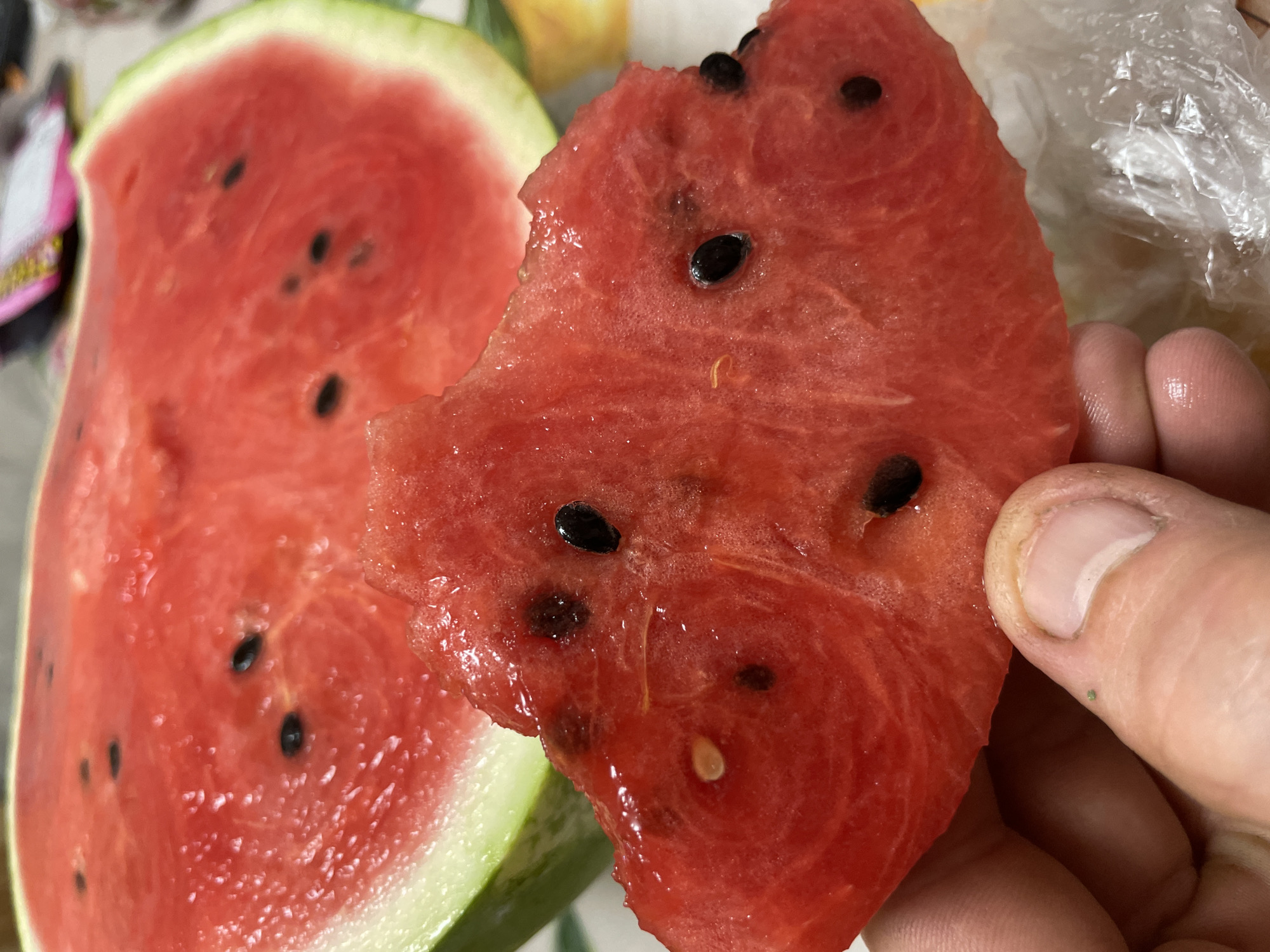 This media file is a close-up shot of a hand holding a slice of watermelon. The watermelon is a vibrant red with black seeds scattered throughout. Part of a larger watermelon slice is visible to the left, showing its green rind. The background is slightly blurred, but suggests an indoor setting with some plastic wrapping and other objects. The lighting appears to be natural, indicating daytime. There are no discernible location cues, time of day, or weather indications beyond the natural light. The activity is simply holding and possibly eating the watermelon. The focus is on the texture and detail of the fruit and the hand.