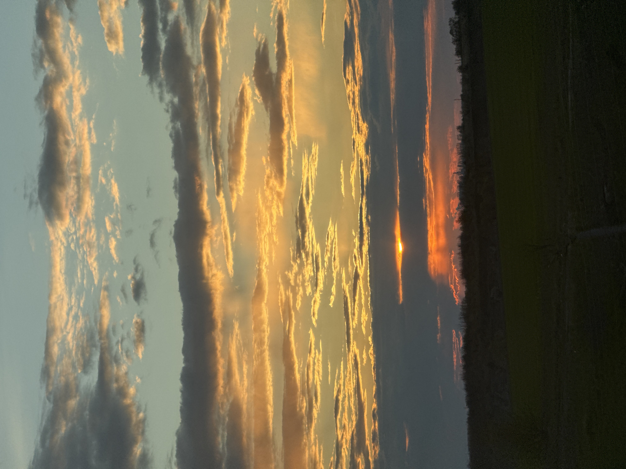 The image depicts a breathtaking sunset over a vast, rural landscape, likely in Millerovo, Russia. The sky dominates the upper two-thirds of the frame, filled with a dramatic and expansive cloud formation. Long, streaky clouds, appearing as both wispy cirrus and denser formations, stretch horizontally across the sky. These clouds are brilliantly illuminated by the setting sun, showcasing a vibrant palette of golden yellows, warm oranges, and fiery reds, which contrast sharply with the muted blues, grays, and darker shadows of the unlit cloud sections and clearer sky patches.
The sun, an intense orb of orange and red light, is visible low on the horizon towards the right side of the image, casting a powerful glow that radiates across the clouds and the lower atmosphere. Below the spectacular sky, a dark, horizontal band of land forms the horizon. This landscape appears to be a flat or gently rolling terrain, possibly fields or plains, with a subtle line of trees or dense foliage silhouetted against the vibrant colors of the sunset. The ground itself is predominantly dark, appearing deep green or almost black due to the low light conditions.
The scene captures the serene and dramatic beauty of nature at dusk. There is no visible text, human activity, or specific objects other than the natural elements. The overall impression is one of peaceful natural grandeur and a stunning display of color.