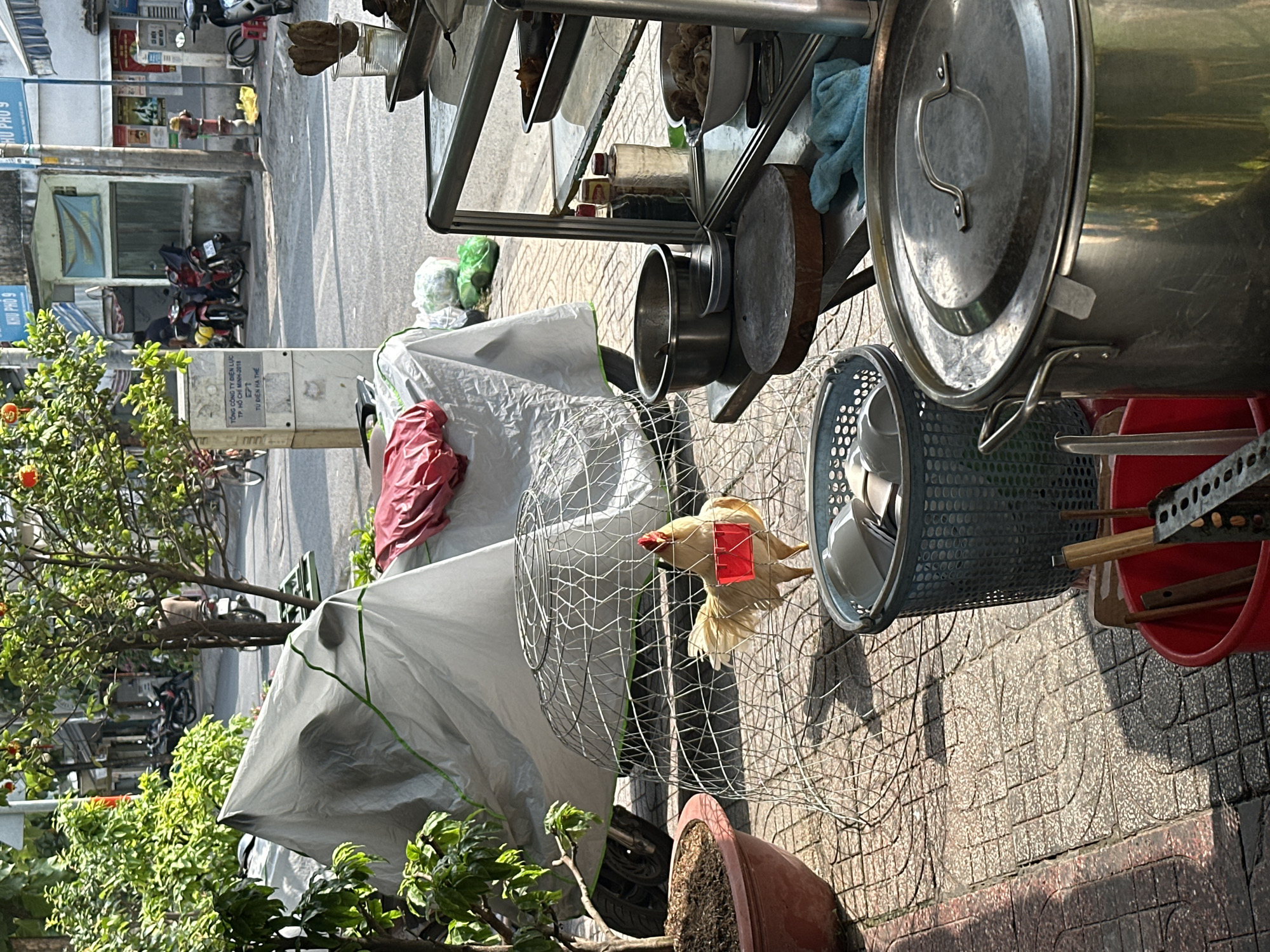 This outdoor, eye-level, medium shot depicts a street scene in Ho Chi Minh City, Vietnam.
The image focuses on a chicken, confined in a wire cage near the street. A red tag is visible on the bird's body. The chicken and its cage are situated next to a potted plant and partially covered by a white tarp.
In the background, there is a mobile food cart containing cookware. Further away, the street and surrounding buildings are visible. A sign on a post reads “TỔNG CÔNG TY ĐIỆN LỰC TP. HỒ CHÍ MINH 2018”. The words “HU PHO 9” are seen on a separate sign. A motorcycle and other vehicles are parked on the side of the road.