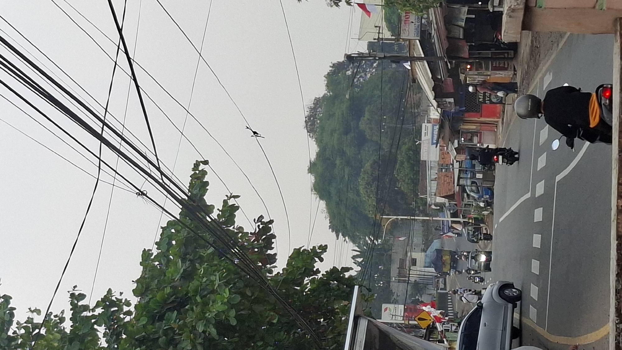 A street scene in Cilaku, Indonesia, captures a busy intersection under an overcast sky. The foreground is dominated by a road with white lane markings and a pedestrian crossing. A person on a black motorcycle, wearing a gray helmet and a black shirt, is heading away from the camera. To the left, a silver minivan is parked. A lush green tree with dense foliage overhangs the left side of the frame.
In the mid-ground, traffic flows on the road. A large truck is visible further up the street, as are several motorcycles. Along the right side of the road, a row of small businesses with awnings and simple structures lines the street, some featuring red and white flags. A person in a light-colored shirt stands near one of these shops.
The background features a densely wooded hill, its green canopy reaching towards the sky. A complex network of electrical wires crisscrosses the upper portion of the image. The overall atmosphere is that of a moderately developed urban area with significant vehicle and pedestrian activity.