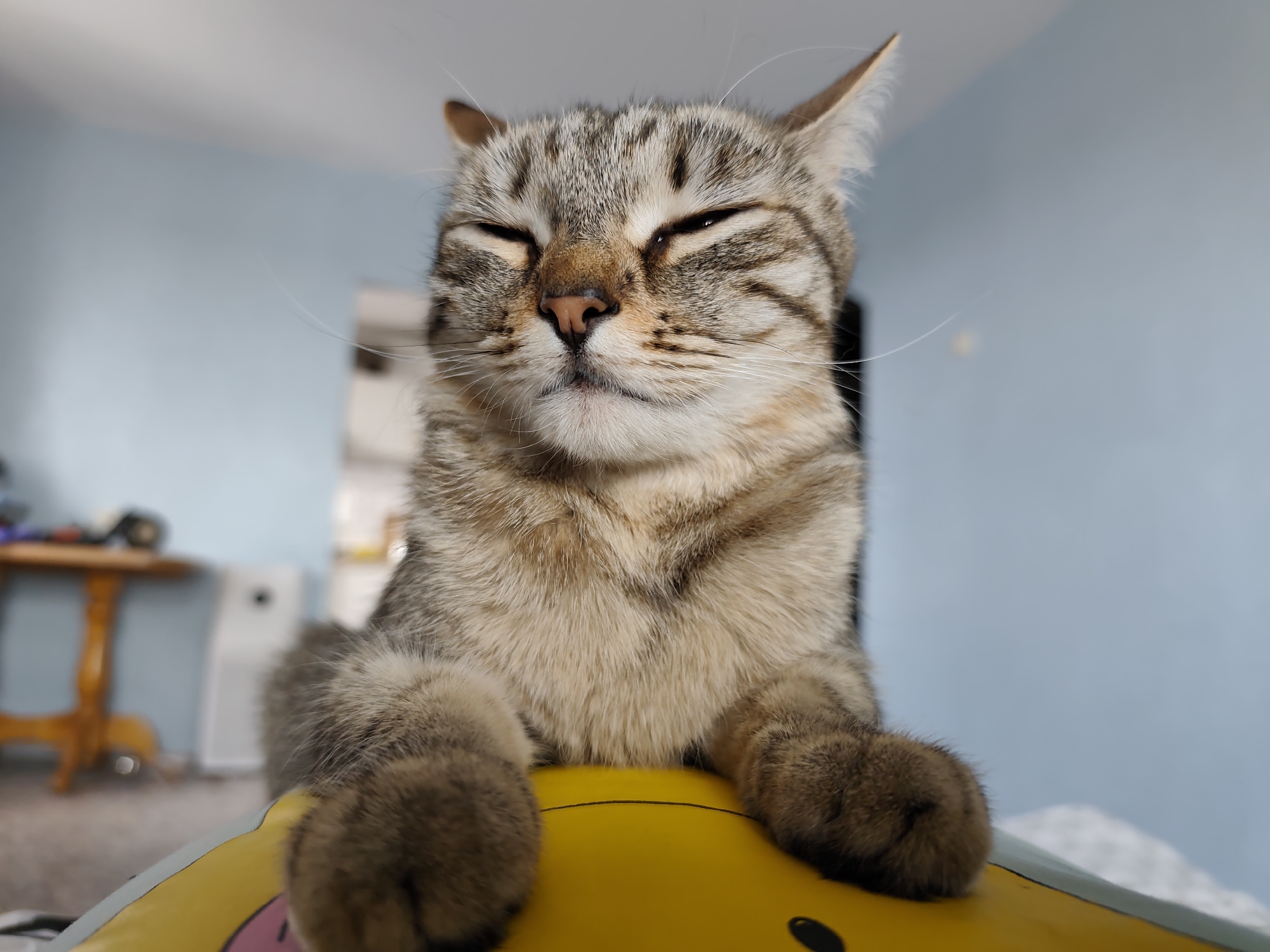 A close-up, low-angle photograph captures a tabby cat with striped brown, grey, and black fur, resting indoors in Chaikovsky, Russia. The cat's eyes are closed or heavily squinted, conveying a strong sense of sleepiness, contentment, or profound relaxation. Its pinkish-brown nose and long, white whiskers are prominent features of its face.
The cat's front paws are positioned on a bright yellow object, which appears to be a cushion or an inflatable toy, featuring some faint black and pink outlines. The background is softly blurred, revealing elements of a domestic setting. A light blue wall serves as the primary backdrop. To the left, a wooden table with an ornate leg holds indistinct items, while to the right, a white rectangular appliance, possibly an air purifier, is visible. The lighting is soft and even, highlighting the cat's tranquil state. No text is visible in the image.