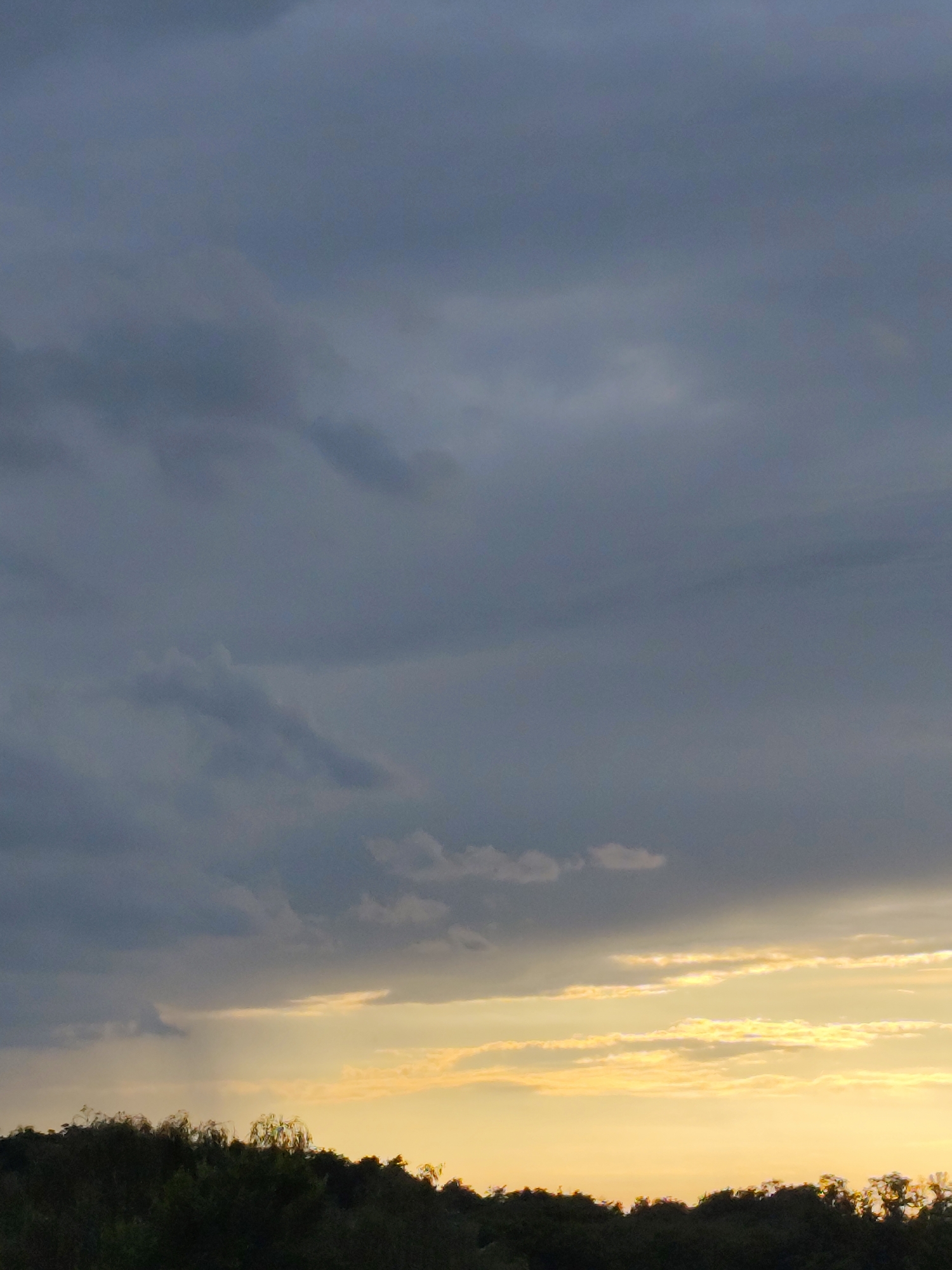 The image depicts a cloudy sky over a dark treeline. The sky is filled with shades of gray and blue, with some lighter patches of yellow and orange near the horizon, suggesting it may be sunset or sunrise. The clouds are varied in density and texture, with some appearing wispy and others more solid. Below the sky, a dense, dark green treeline stretches across the bottom of the frame. The foliage is indistinct, creating a silhouetted effect against the lighter sky. No people, specific landmarks, or identifiable urban features are visible to suggest a precise location within Zielona Góra, Poland.