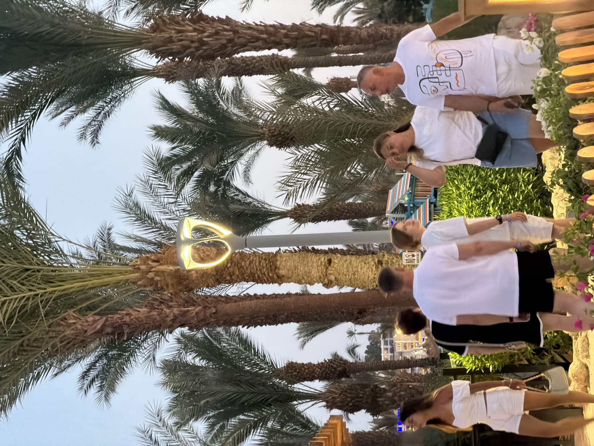 In Sharm El Sheikh, Egypt, a group of people are walking along a pathway lined with palm trees. The scene appears to be outdoors, possibly in a resort or public area, with the sky visible above and lush greenery in the background. Several palm trees dominate the frame, their fronds reaching towards the light. A modern street lamp with a unique, heart-shaped design stands among the trees, emitting a warm glow.
In the foreground, a woman wearing a white off-the-shoulder top and white shorts walks from left to right, carrying a light-colored handbag. To her right, a man and a woman in white t-shirts and casual attire are walking. The man has a graphic design on his t-shirt. Behind them, another man in a white t-shirt and shorts is visible. A woman in a black dress with white trim is also walking away from the camera, her back to the viewer. The ground is a mix of stone and sand, with some low-lying plants and flowers adding color to the scene. In the distance, a resort-like building with colorful accents can be seen amongst the trees. The overall atmosphere suggests a pleasant evening in a tropical or subtropical setting.