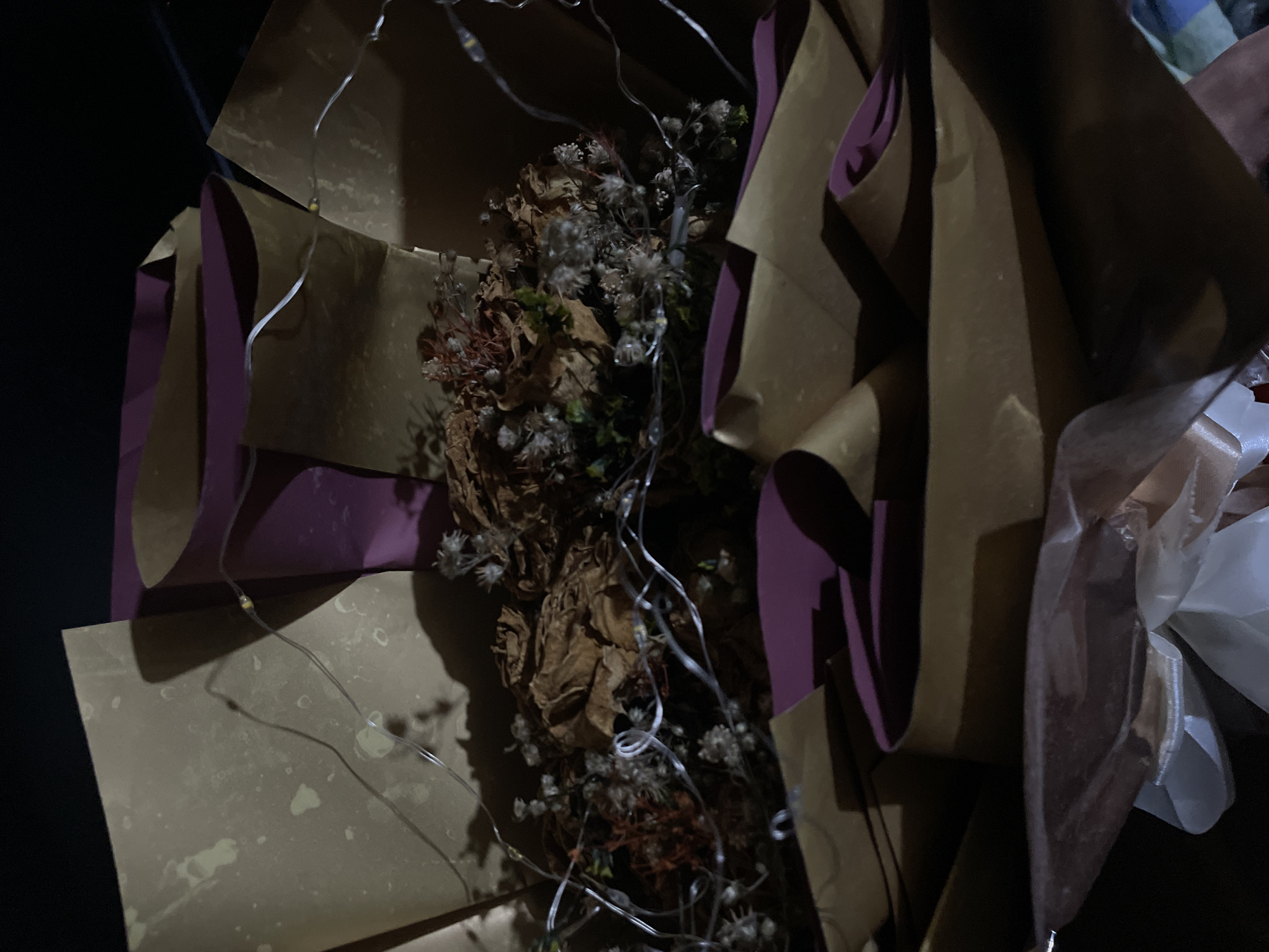 The image displays a close-up of a bouquet of dried flowers, intricately arranged and wrapped. The central focus is a cluster of various dried botanicals, appearing brittle and textured, with hues of deep brown, muted green, and hints of reddish-orange. Some of the dried flowers have a fluffy or seed-like appearance, while others are larger, resembling faded petals.
The bouquet is encased in layered wrapping paper. The primary layer appears to be a light brown or kraft-colored paper, which is creased and folded around the flowers. Beneath or alongside this, sections of a deep purple paper are visible, adding a contrasting color element.
Intertwined within the bouquet and around its wrapping are delicate string lights. These lights emit a soft, warm glow, illuminating parts of the flowers and paper, and casting subtle shadows. The individual LED bulbs on the string are small and discrete.
The background is predominantly dark, suggesting the image was taken in low light conditions, possibly at night or in a dimly lit indoor setting. The artificial light from the string lights serves as the main illumination, creating an intimate and somewhat atmospheric mood. No people or visible text are present in the image.