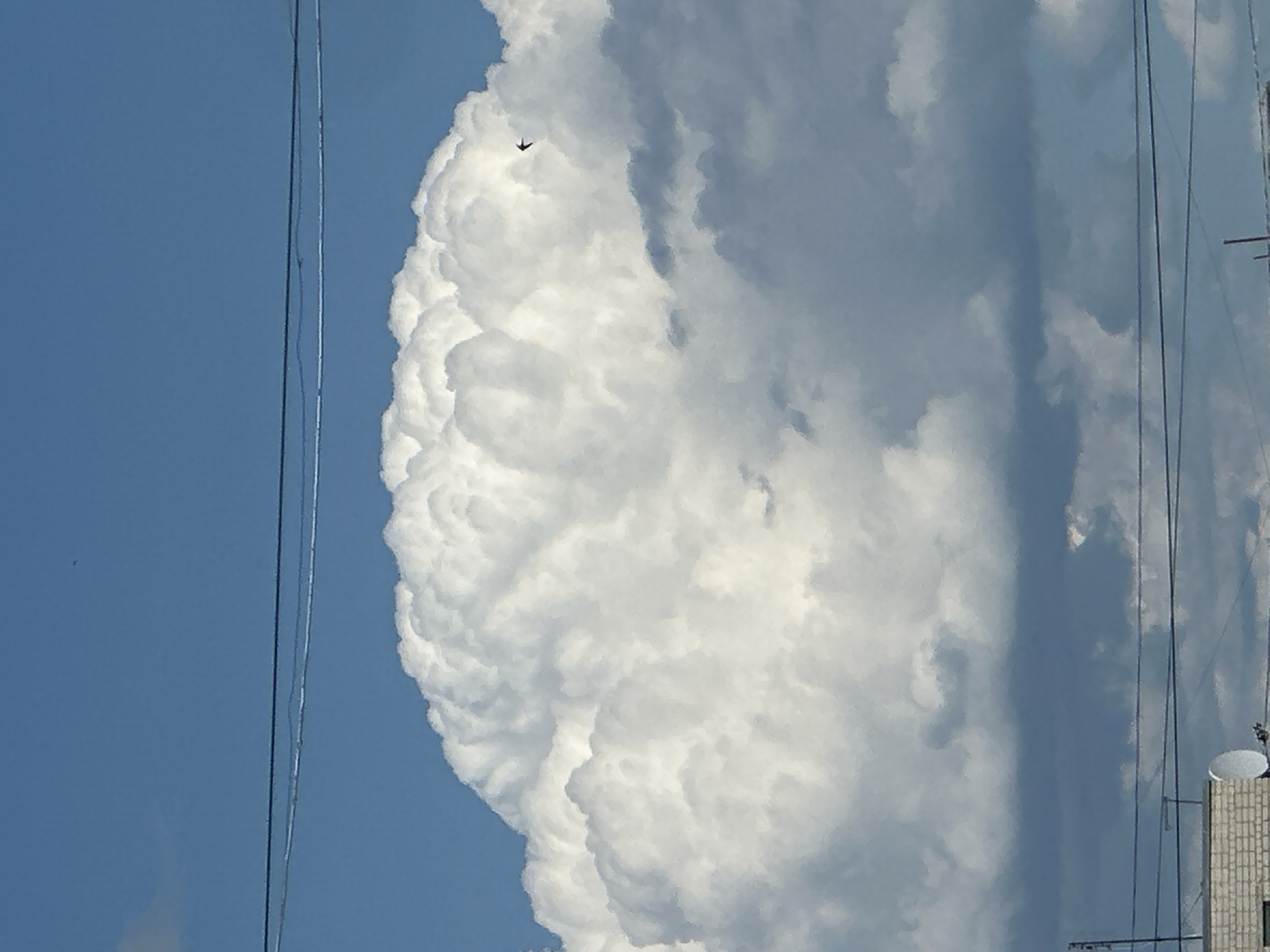 This media file shows a dynamic sky with a large, white, puffy cumulus cloud dominating the frame. The cloud has a textured, almost mountainous appearance with deep shadows and bright highlights, suggesting a bright, sunny day with some atmospheric activity. A bird in silhouette is captured mid-flight against the expanse of the sky, adding a sense of scale and movement to the scene. Two thin, dark wires stretch vertically through the image, one on the left and another on the right, hinting at the presence of power lines or telecommunication cables.
In the background, a building with a brick facade and a satellite dish on its roof is partially visible on the right side, suggesting an urban or suburban setting. The sky is predominantly a clear, bright blue, contrasting with the massive cloud formation. The lighting indicates it is daytime, likely mid-morning or afternoon, given the brightness and the shadows within the clouds. The overall mood is one of natural grandeur and a glimpse of everyday life intersecting with the sky. No text is visible in the media file.