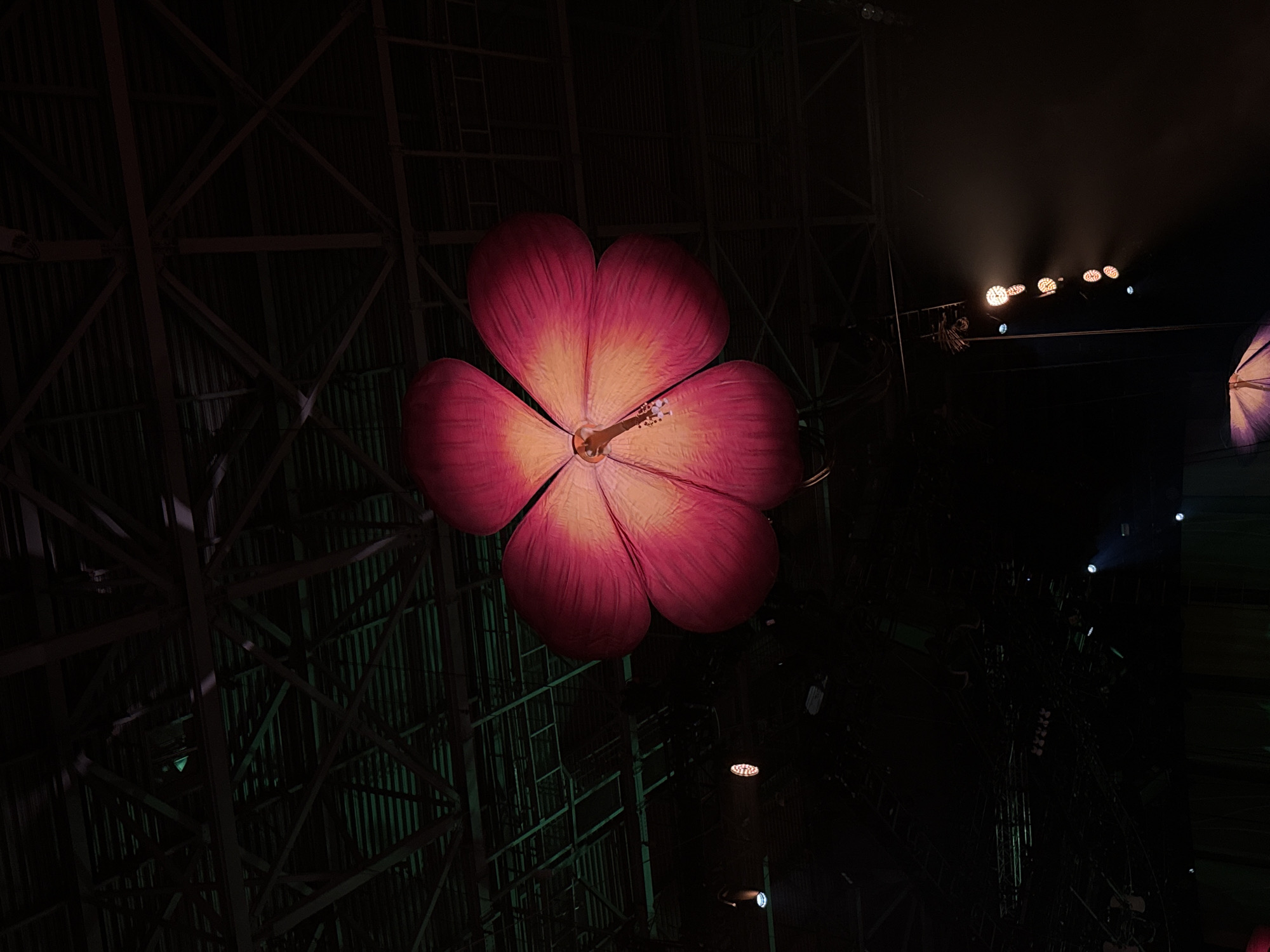 The image shows an interior space, likely a concert venue or theatrical space in Sofia, Bulgaria given the structure of the large, metal support beams, hanging lights, and large inflatable flower decoration. The lighting is dim with focused spotlights highlighting the floral structure and other parts of the ceiling. The environment is dark and appears enclosed, suggesting an indoor setting. There are no people visible, and the only objects that are visible are parts of the ceiling, a large flower (probably a hibiscus) and light fixtures.