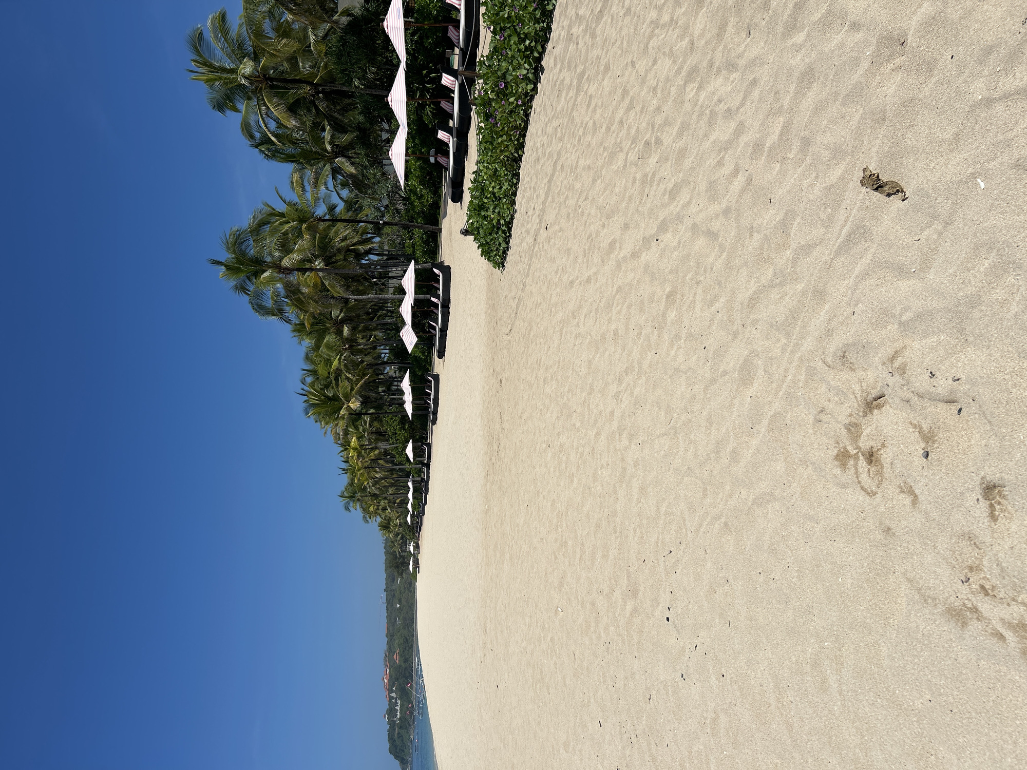 The image shows a beach scene in Kuta Selatan, Indonesia, characterized by a wide expanse of light-colored sand occupying the majority of the frame. Palm trees line the left side of the image, extending into the distance. White beach umbrellas are positioned near the trees, with beach chairs underneath. Green vegetation borders the sand. The sky above is clear and blue. Footprints are visible on the sand surface.