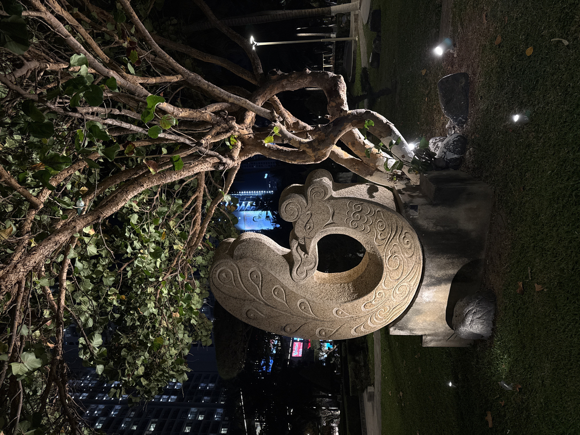 This nighttime photograph, taken in Nha Trang, Vietnam, presents a tranquil scene combining natural elements with urban and artistic features. The dominant subject is a large tree, likely tropical, with a sprawling canopy of dense green leaves and thick, gnarled branches that extend across the left and upper portions of the frame. Its bark appears rough and textured, with many intertwined limbs.
To the right of the tree stands a prominent, intricately carved stone sculpture. This sculpture is light in color and features flowing, stylized patterns that include swirls, teardrop shapes, and what appears to be a stylized head or crest on its upper-right side, suggesting a mythical creature like a dragon or phoenix. It has a large, circular opening in its center, adding to its distinctive form.
The ground around the sculpture and extending to the right is covered in neatly trimmed green grass. Several small, bright spotlights are embedded in the grass, illuminating parts of the lawn and casting subtle glows around the base of the sculpture.
In the background, beyond the tree and the sculpture, the vibrant lights of a city at night are visible. Numerous buildings glow with illuminated windows, indicating a bustling urban environment. A body of water, possibly a bay or river, can be seen in the distance, reflecting some of the city lights. Faint, unreadable text or logos are discernible on distant billboards or building facades. The scene is well-lit by artificial sources, creating a serene and aesthetically pleasing nocturnal vista that blends nature, art, and urban development.