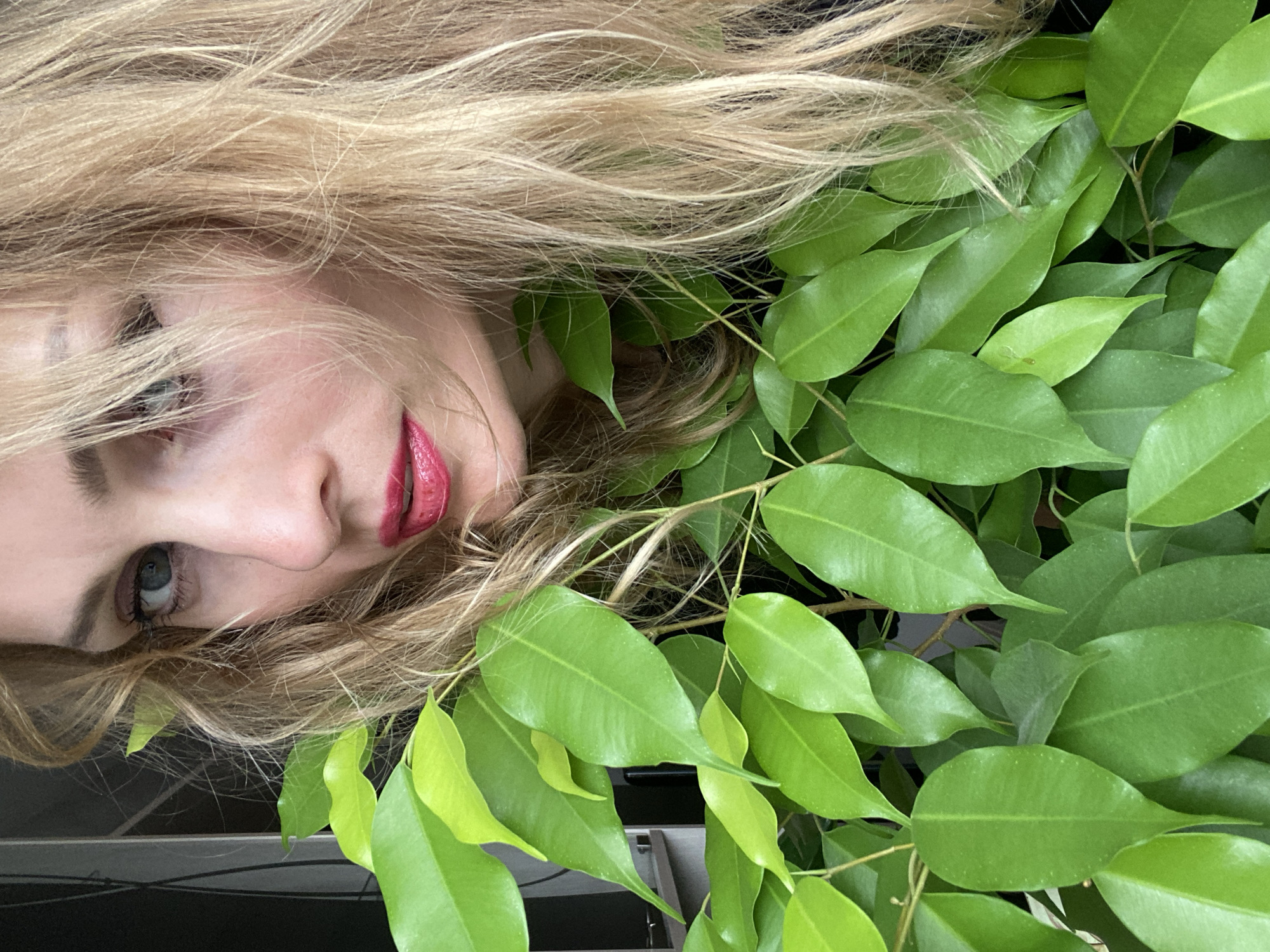 A close-up, eye-level shot focuses on the right side of a blonde woman's face as she looks towards the camera, her gaze slightly to the left. Her lips are painted a bright red, and her blonde hair is loose and slightly messy, framing her face and obscuring parts of her head and shoulders. She is partially hidden behind a lush green plant with numerous oval-shaped leaves. The background is dark and out of focus, with a hint of a window frame on the left edge. The scene is indoors, with the lighting suggesting a bright day. The setting is not specified as being in Lida, Belarus.