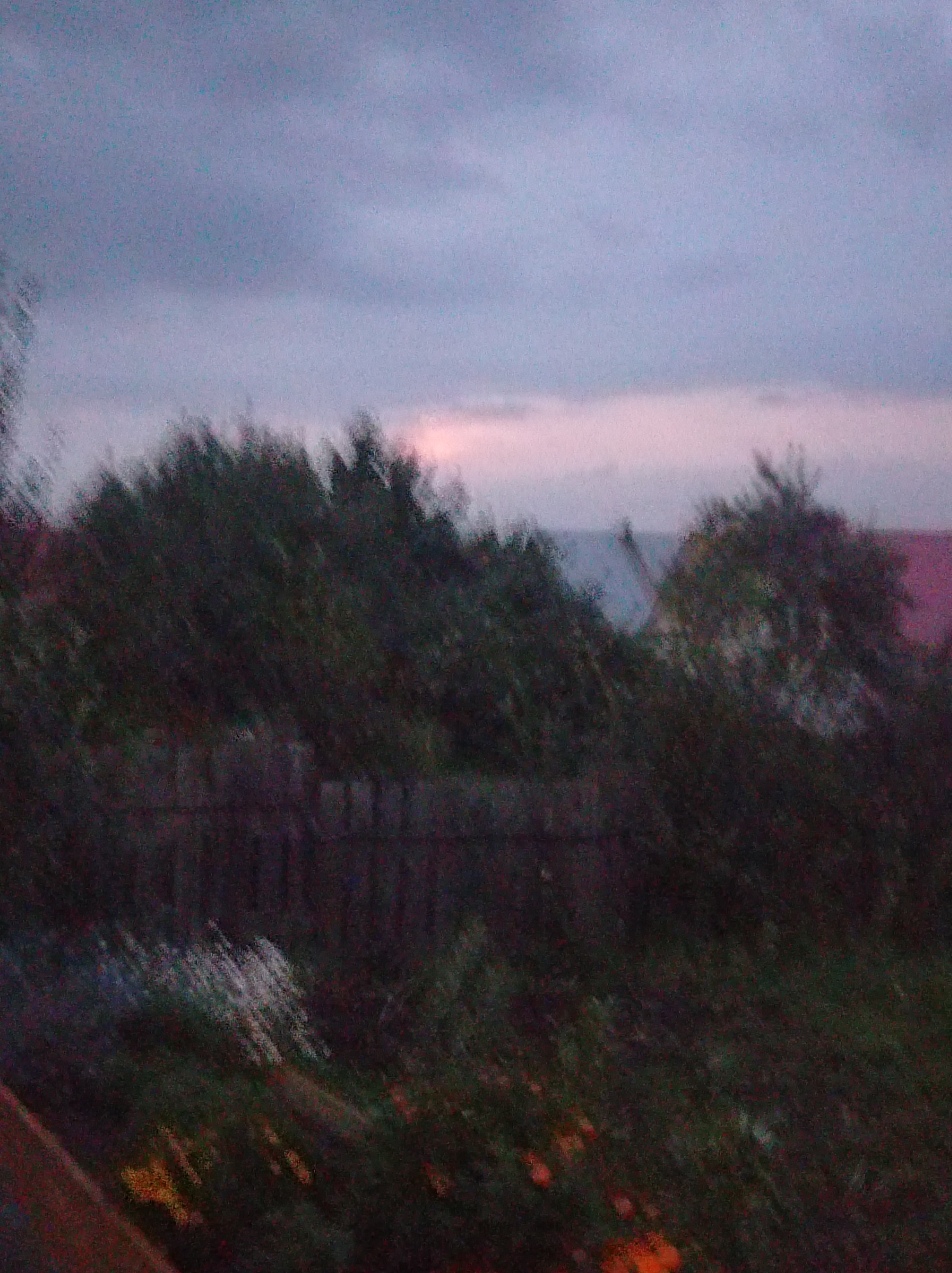 The image depicts a blurry, dark scene that appears to be outdoors at dusk or dawn. A wooden fence runs horizontally across the middle ground. Dense foliage, likely trees and bushes, obscures much of the background, with some hints of red-tiled rooftops and indistinct structures visible behind the vegetation. The sky is overcast with pale purples and grays. There are no discernible people or specific actions taking place. The overall impression is one of a rural or semi-rural setting, possibly a backyard or garden area, in Degtyarsk, Russia.