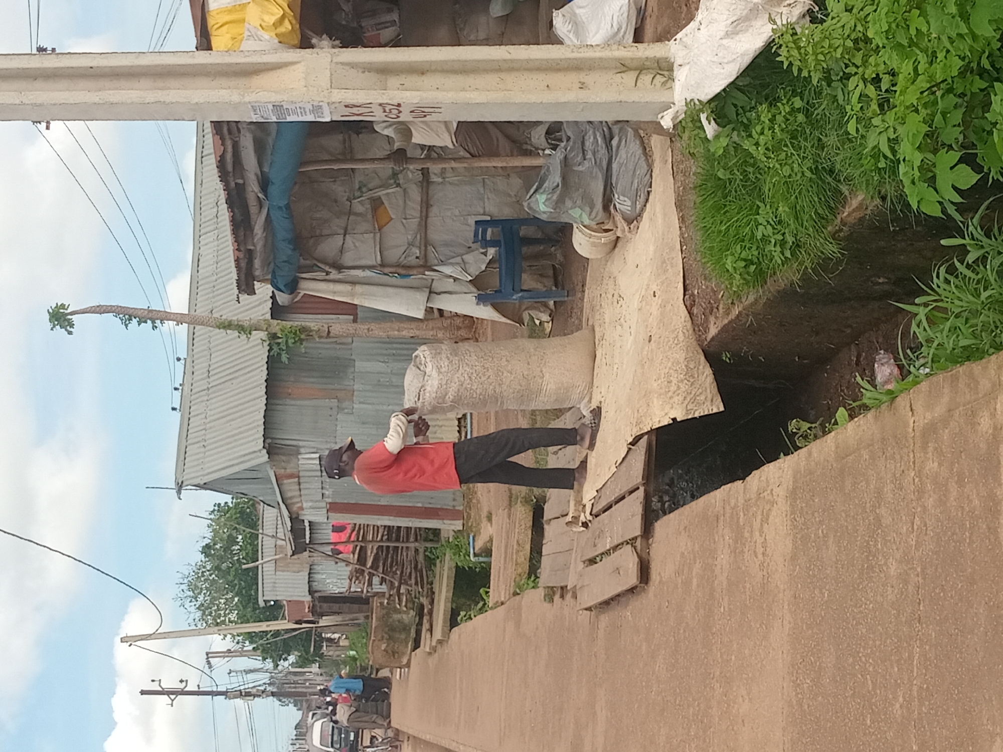 A man wearing a red shirt, black pants, and sandals is standing on a wooden plank bridge over a ditch. He is holding a large sack, which appears to be made of burlap, and is in the process of handling it. The sack is partially filled with what looks like grain or feed. The man is facing towards the right of the image.
The scene is an outdoor market area. Various structures made of corrugated metal and tarps line the background. Some of these structures appear to be stalls or small shops. In the distance, there are more structures and a road with a few vehicles and people. A tall, thin tree with sparse leaves is visible behind one of the structures. Power lines and poles are also present, suggesting an urban or semi-urban environment. The ground is paved with concrete in the foreground, and a narrow ditch runs alongside it, crossed by several wooden bridges. Lush green vegetation is growing along the edges of the ditch and in some open areas.
The overall impression is a bustling market scene in a developing urban area, likely Bukuru, Nigeria, given the context. The lighting suggests it is daytime, possibly overcast due to the diffuse quality of light.