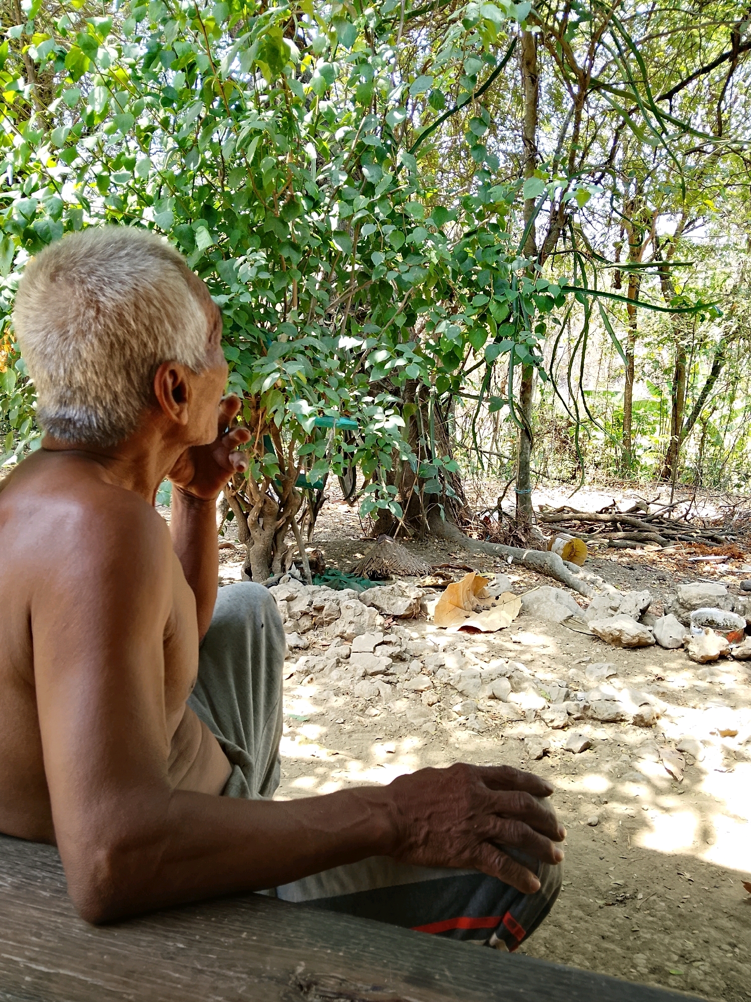 The image depicts an outdoor scene with a man and a dog in the city of Perning, Indonesia. The man, with short, graying hair and a bare torso, is seated on a wooden surface, facing away from the camera and looking to his right. He appears to be holding something to his mouth with his right hand. He is wearing gray pants with red and black stripes.
A tan-colored dog is visible in the background, lying down on a rocky, uneven surface. The environment is characterized by lush green foliage, with trees and branches dominating the background. The ground is covered in dirt, rocks, and fallen leaves. Sunlight filters through the trees, creating dappled shadows on the ground. The overall impression is of a natural, rustic setting within Perning.