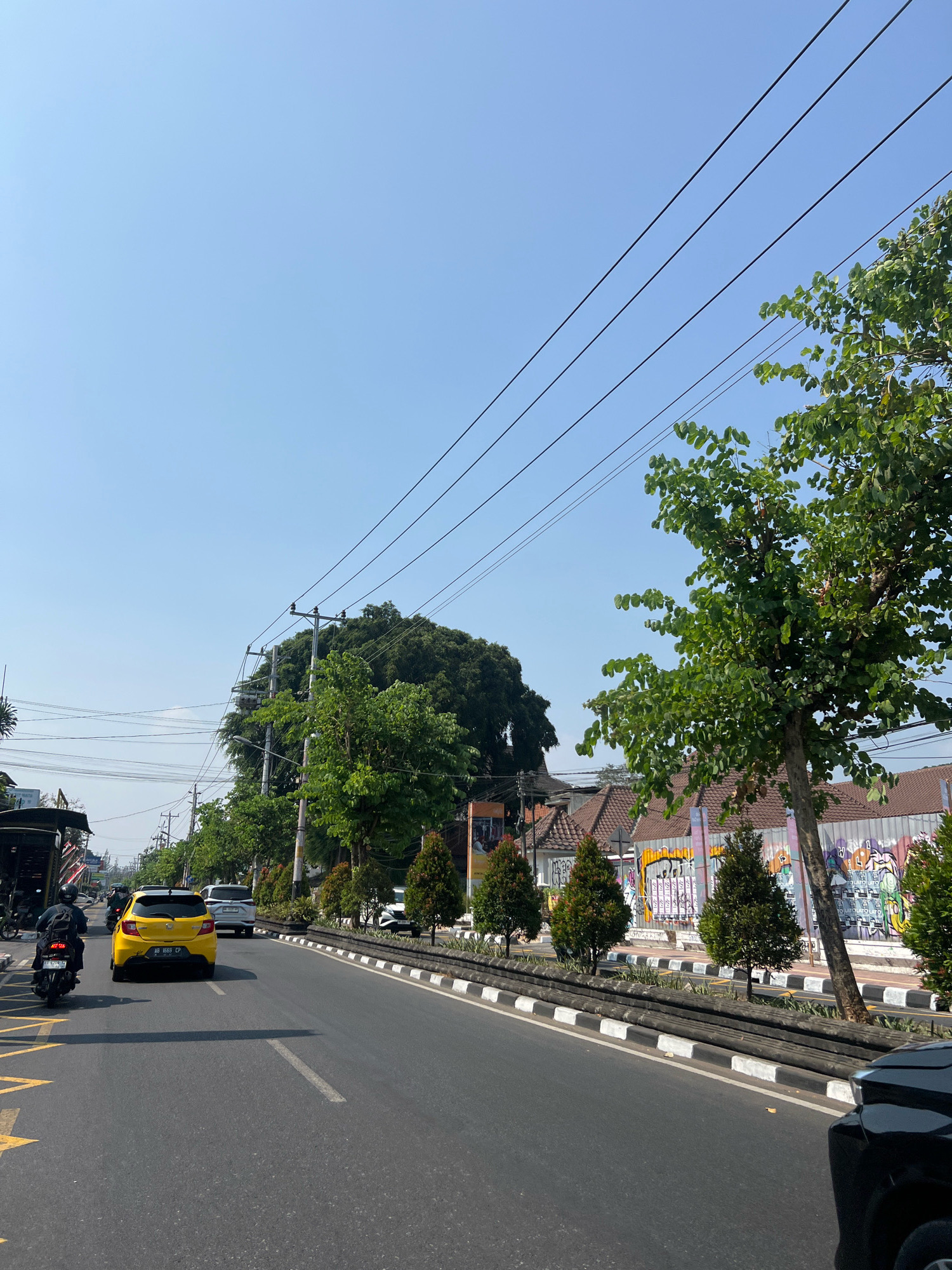 The image captures a street scene in Yogyakarta, Indonesia, on a clear, sunny day. The perspective is from a vehicle moving along the road, looking forward and slightly to the right.
The foreground shows a paved asphalt road with yellow directional arrows painted on the left lane. A yellow hatchback car is in the center lane, followed by a white SUV in the right lane. To the left of the road, a motorcycle with a rider wearing a helmet is visible in the leftmost lane.
The roadside is lined with a raised median strip with alternating black and white concrete barriers. Beyond the median, a row of small, conical evergreen trees is planted. Further back, there are buildings with terracotta roofs, and some of these buildings are adorned with graffiti on their walls.
Mature trees with green foliage are scattered along the roadside and behind the buildings, casting shadows on the road. Overhead, a network of black electrical wires stretches across the sky, supported by utility poles. The sky is a clear, pale blue, indicating fair weather.
The overall impression is one of a typical urban street in Indonesia, with a mix of vehicles, vegetation, and infrastructure. The presence of graffiti suggests a vibrant local art scene.
